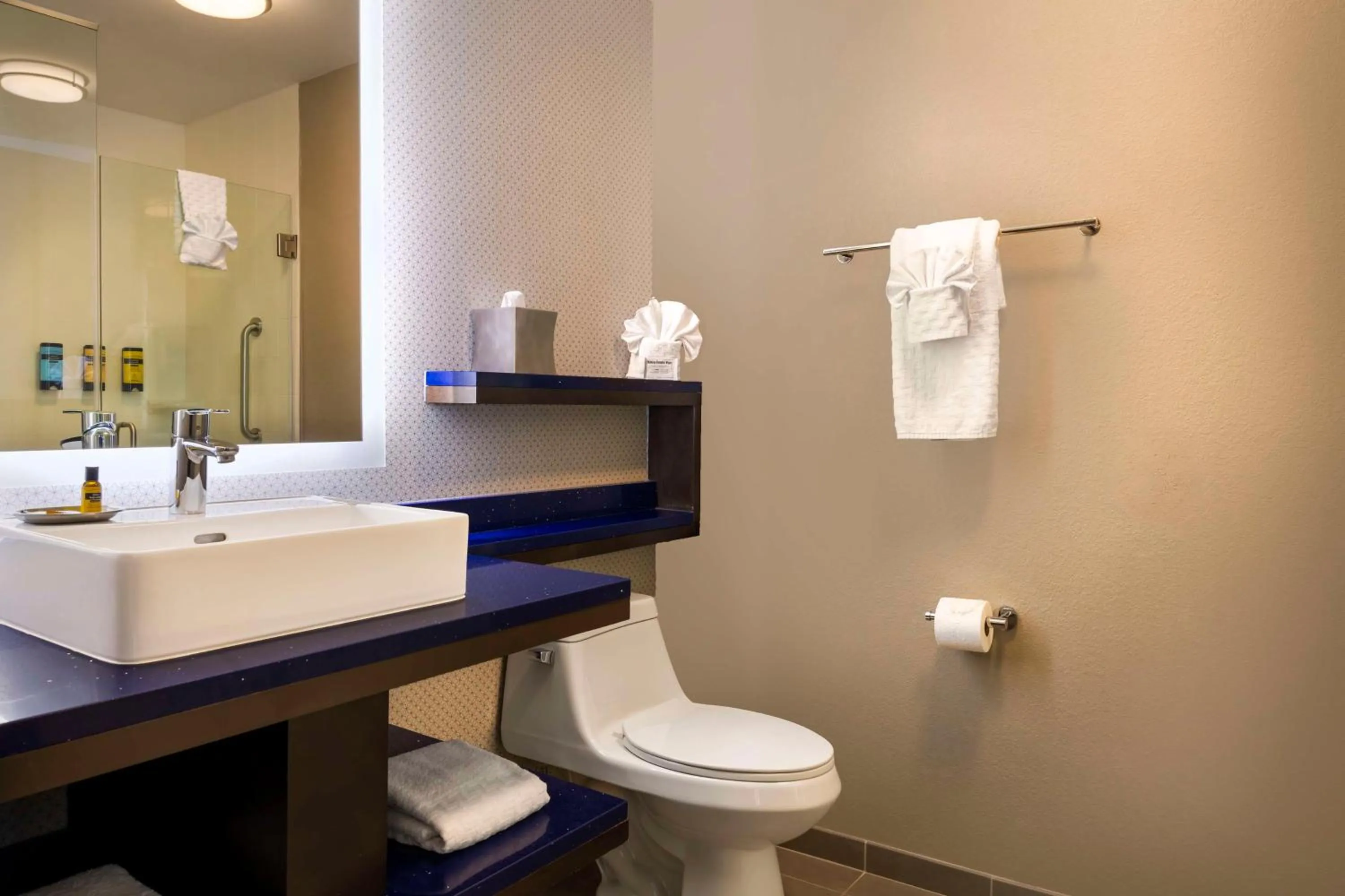 Bathroom in GLo Hotel Asheville-Blue Ridge Parkway