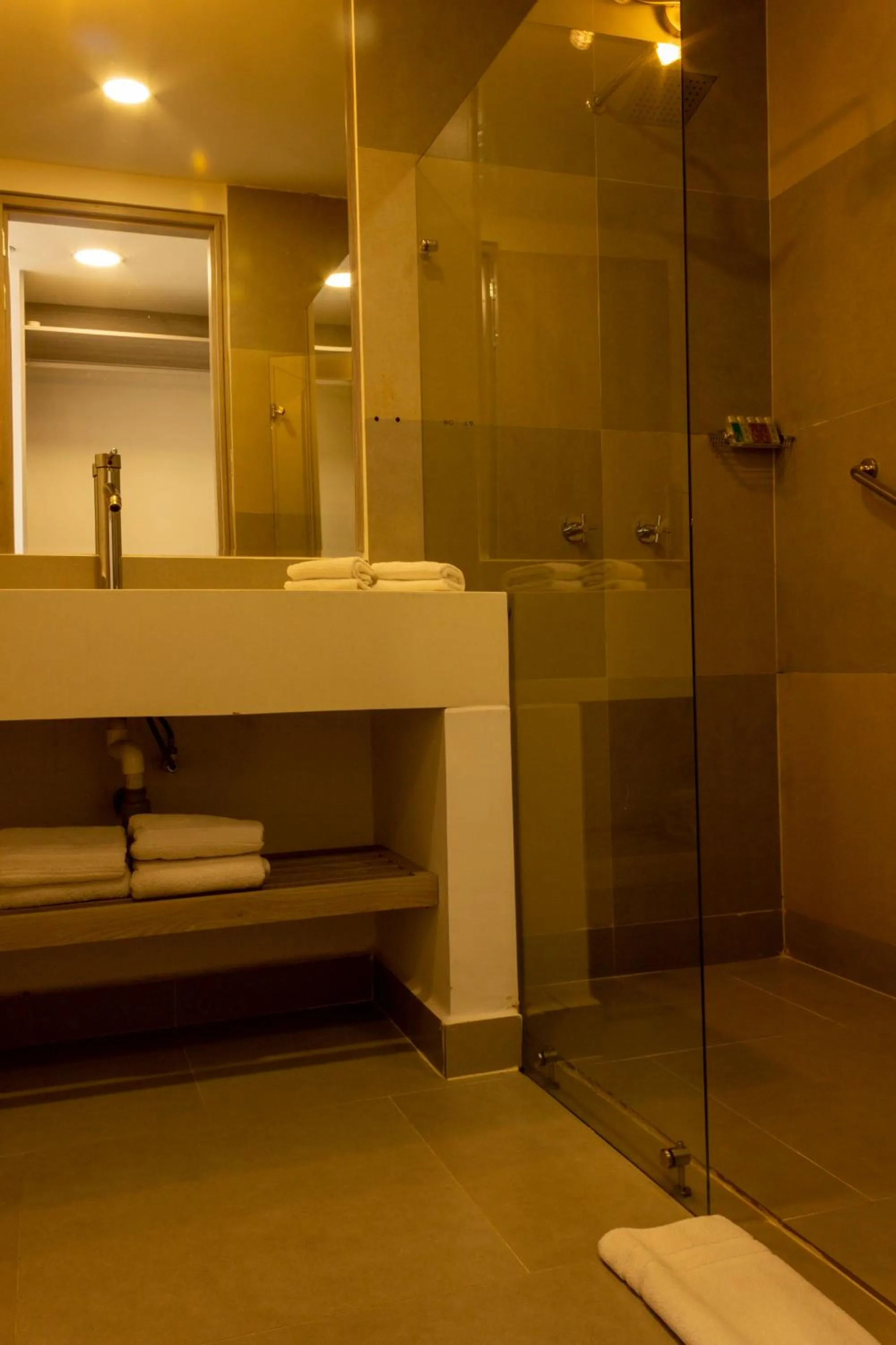 Shower in VVC Hotel's