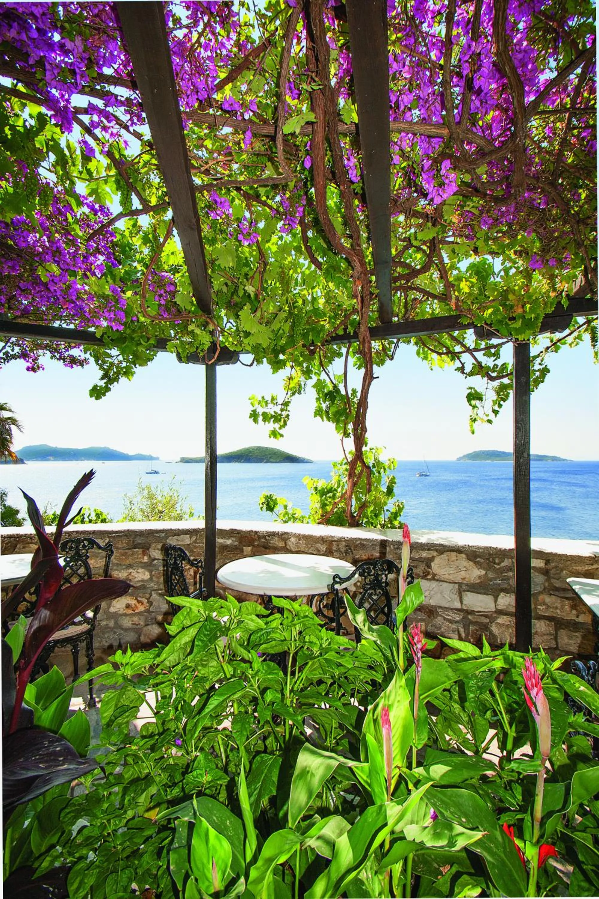 Garden in Hotel Villa Orsa