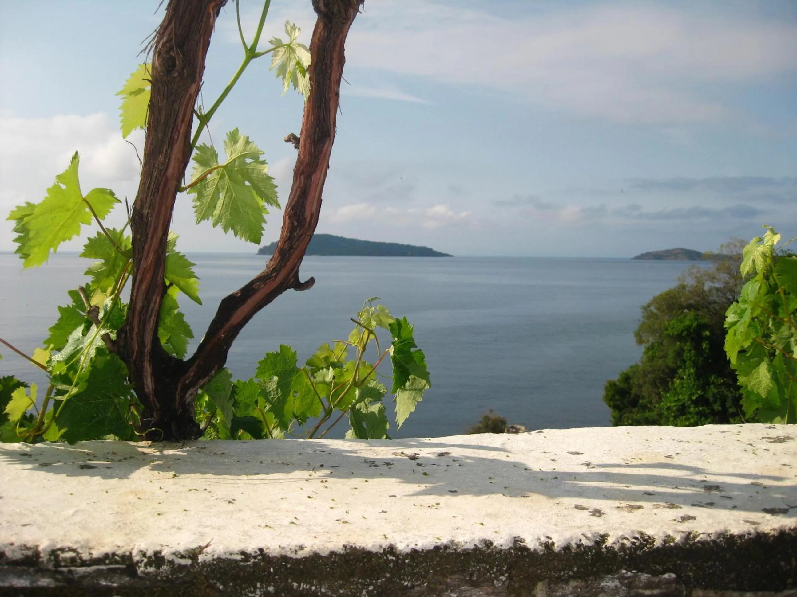View (from property/room) in Hotel Villa Orsa