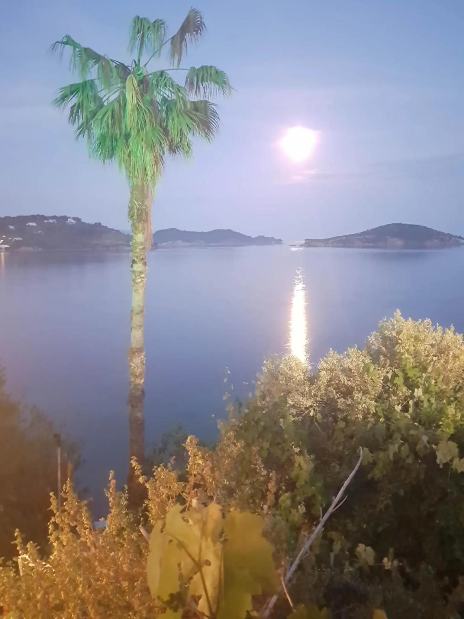 Lounge or bar in Hotel Villa Orsa