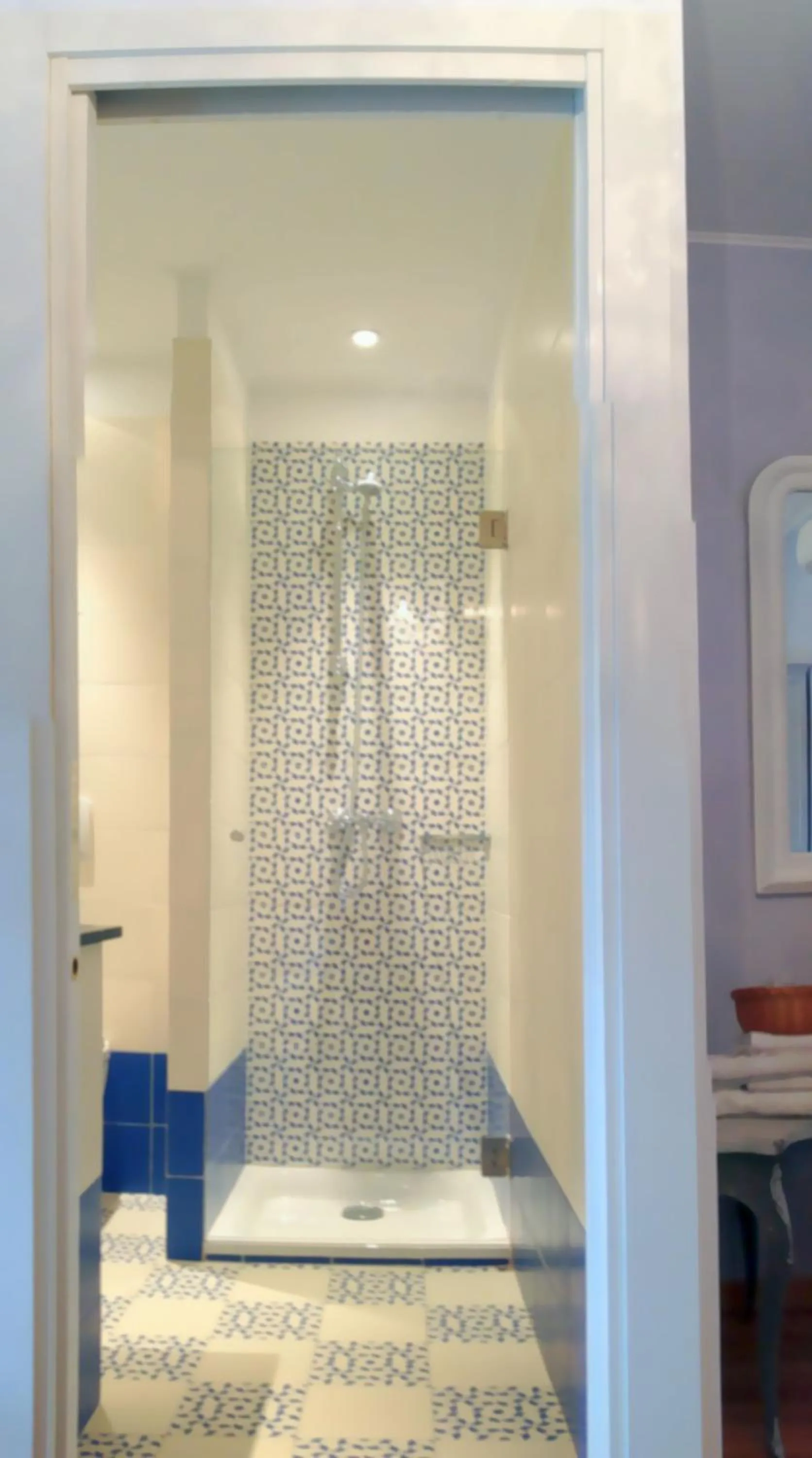 Shower in Hotel La Regence