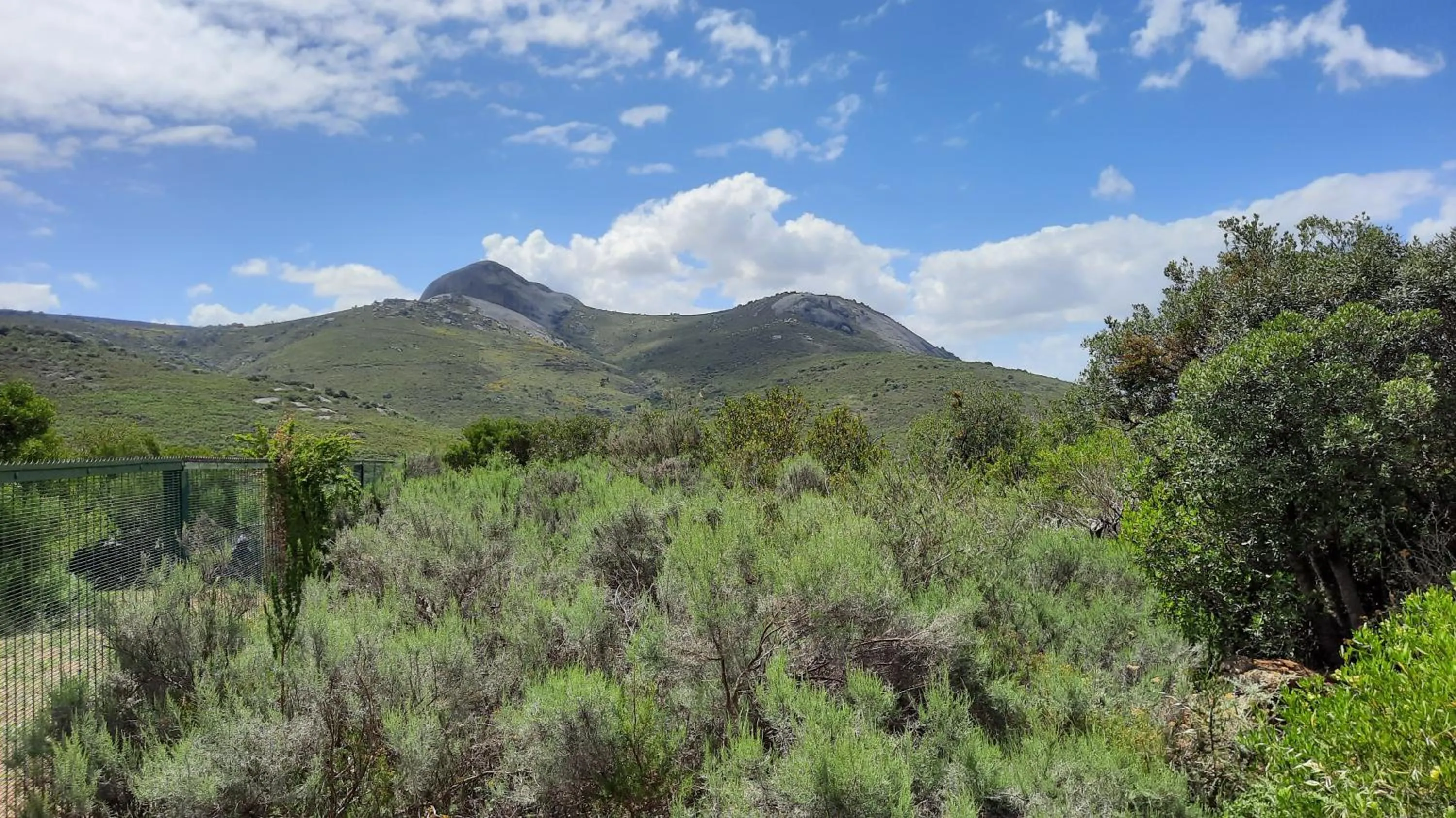 Balcony/Terrace in Alba House Guest House