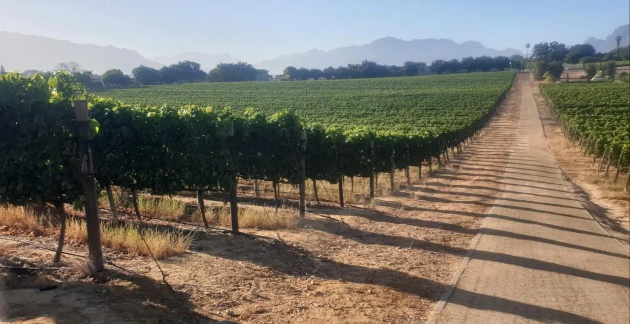 Restaurant/places to eat in Alba House Guest House