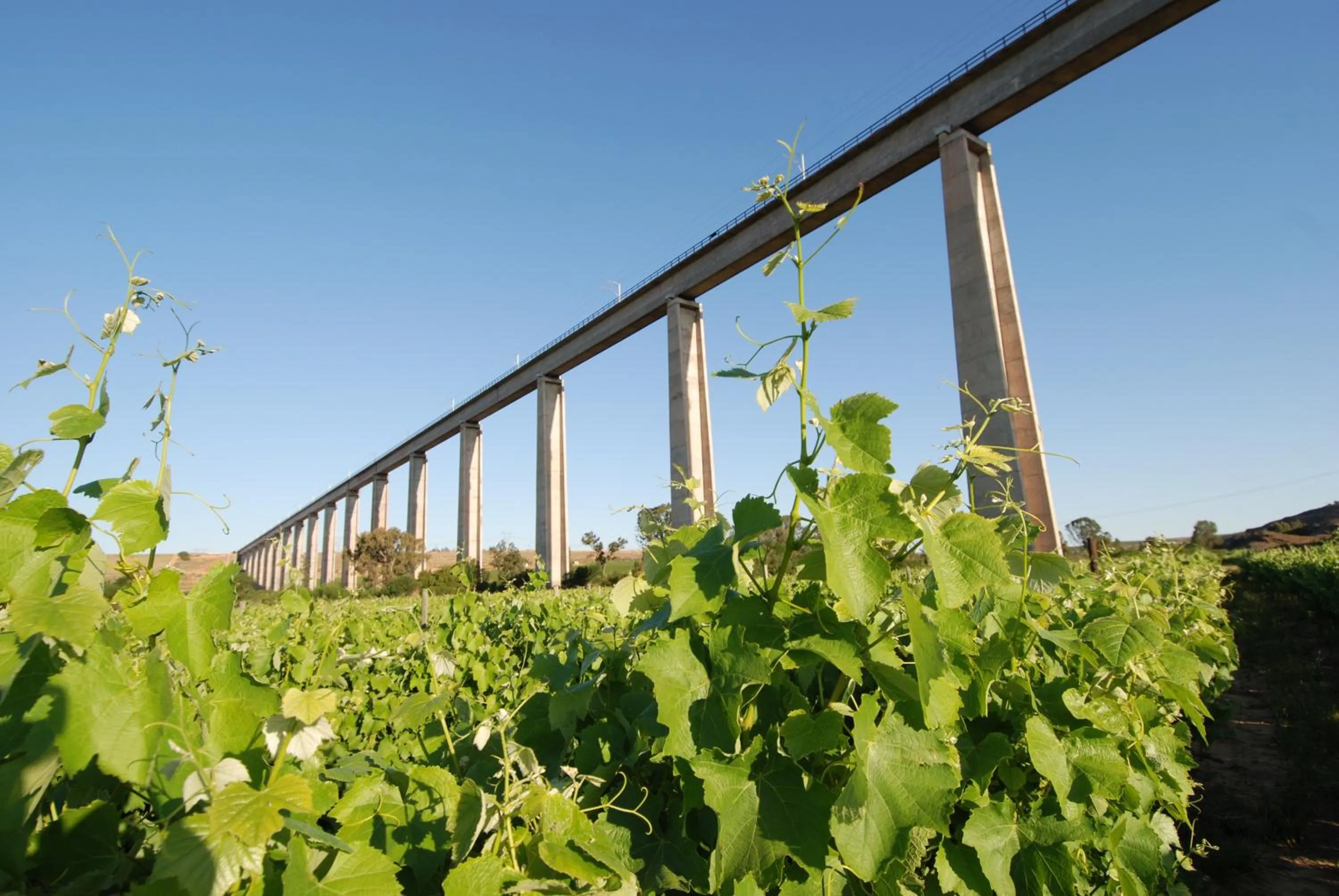 Melkboomsdrift Guest House & Conference Centre