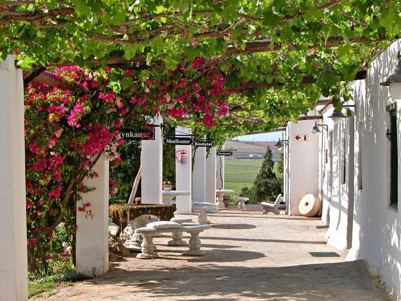 Melkboomsdrift Guest House & Conference Centre