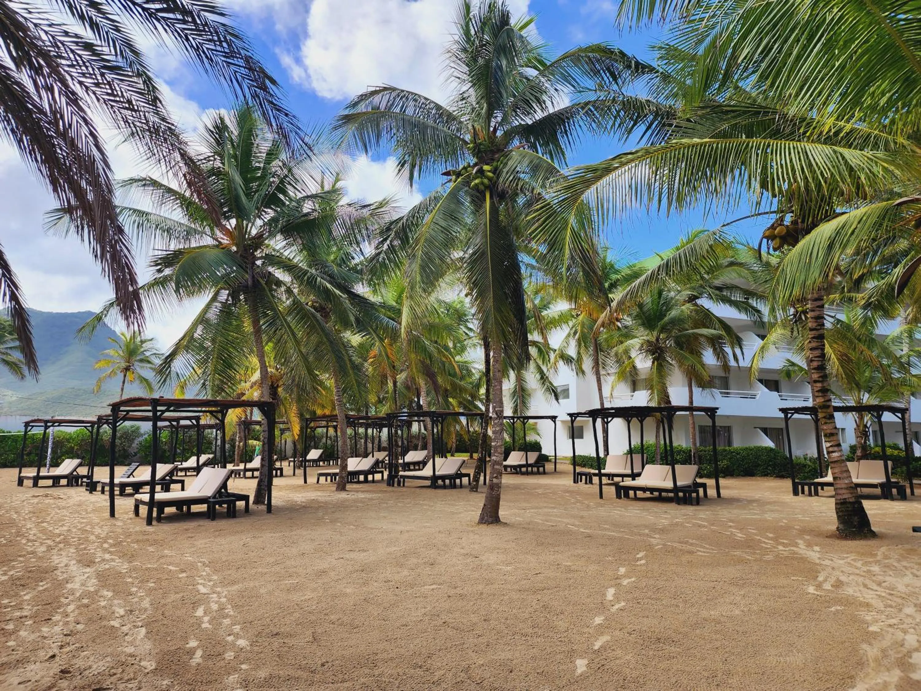 Garden in Sunsol Isla Caribe