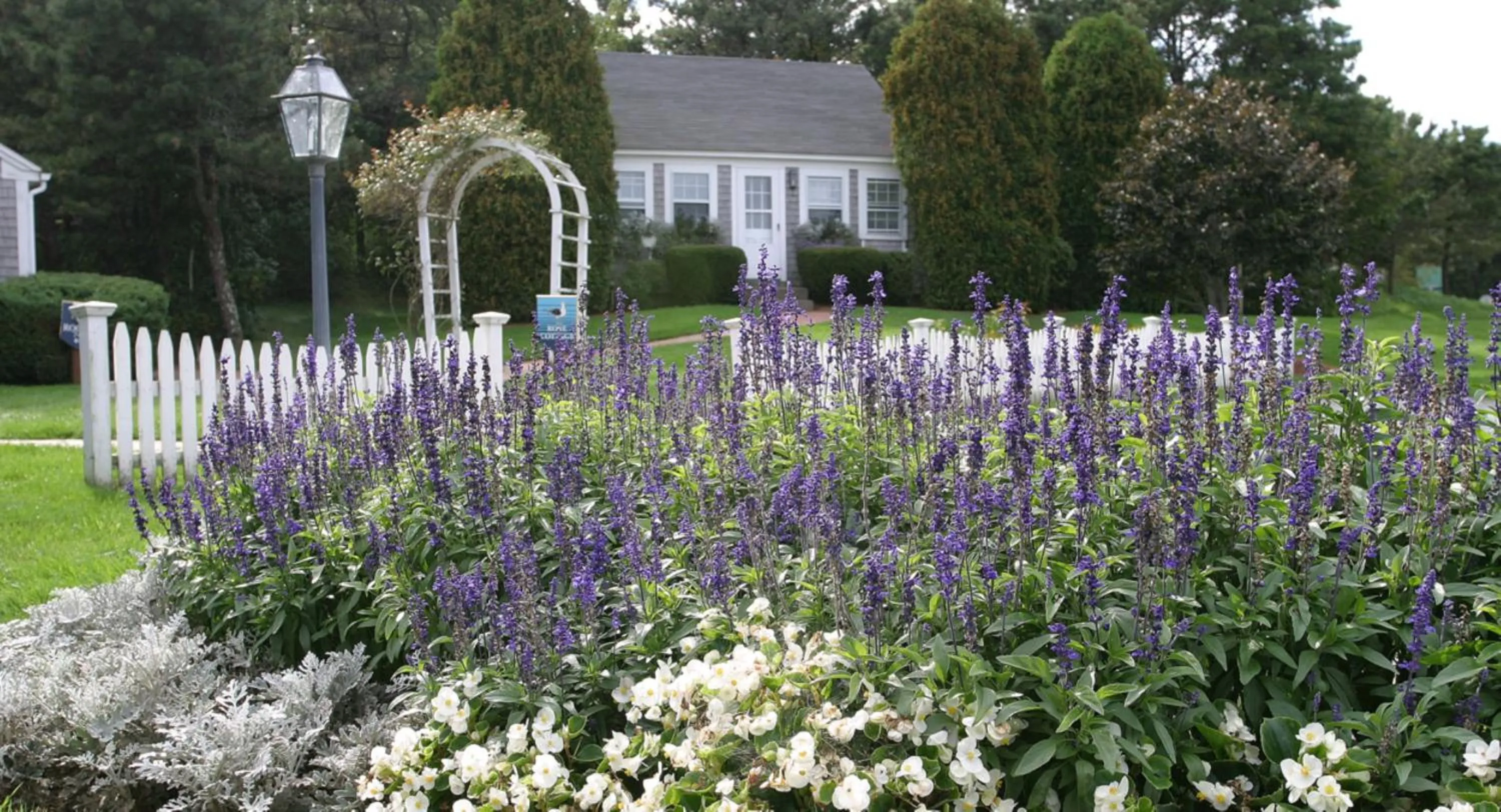 Day in Wequassett Resort and Golf Club