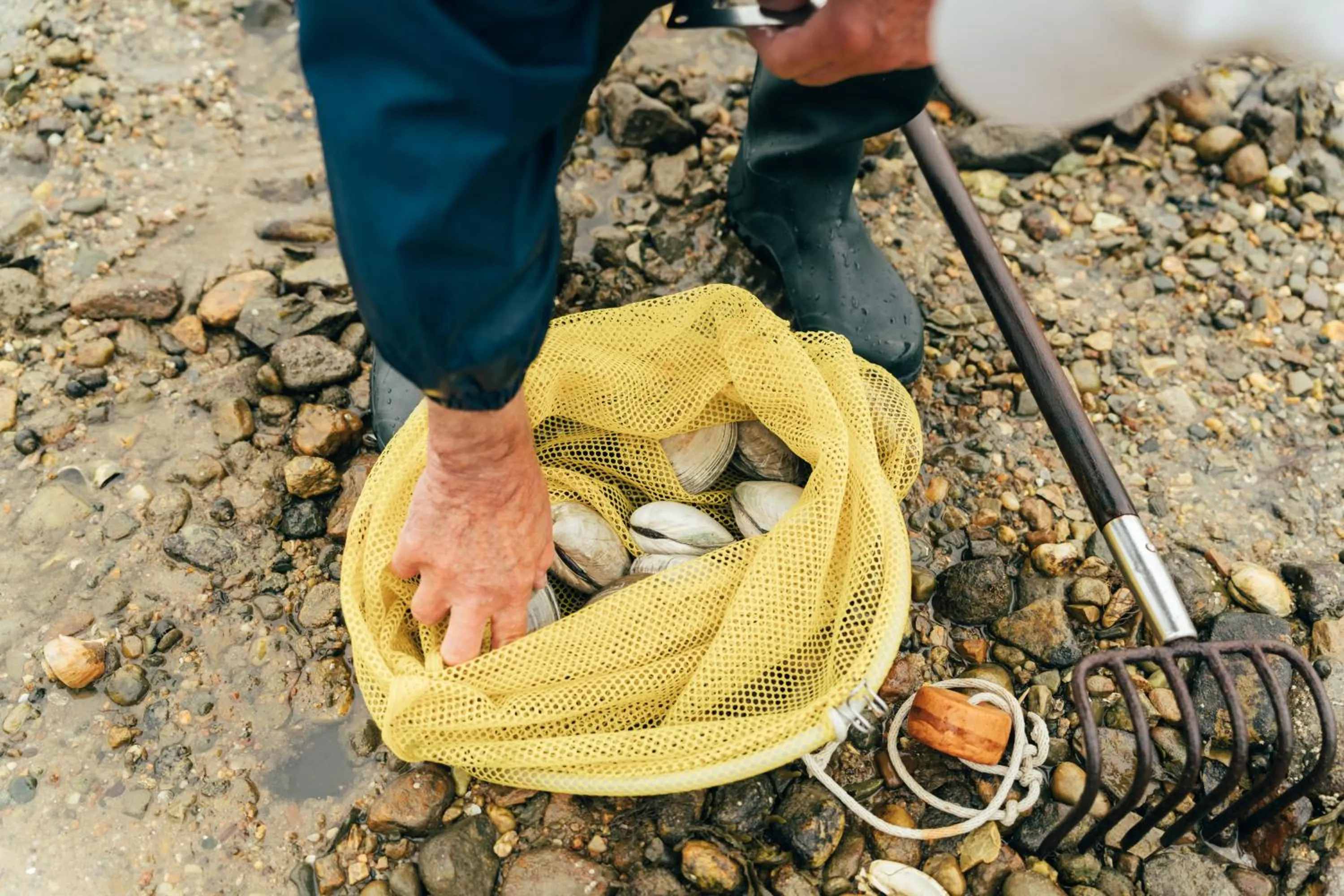 Day in Wequassett Resort and Golf Club