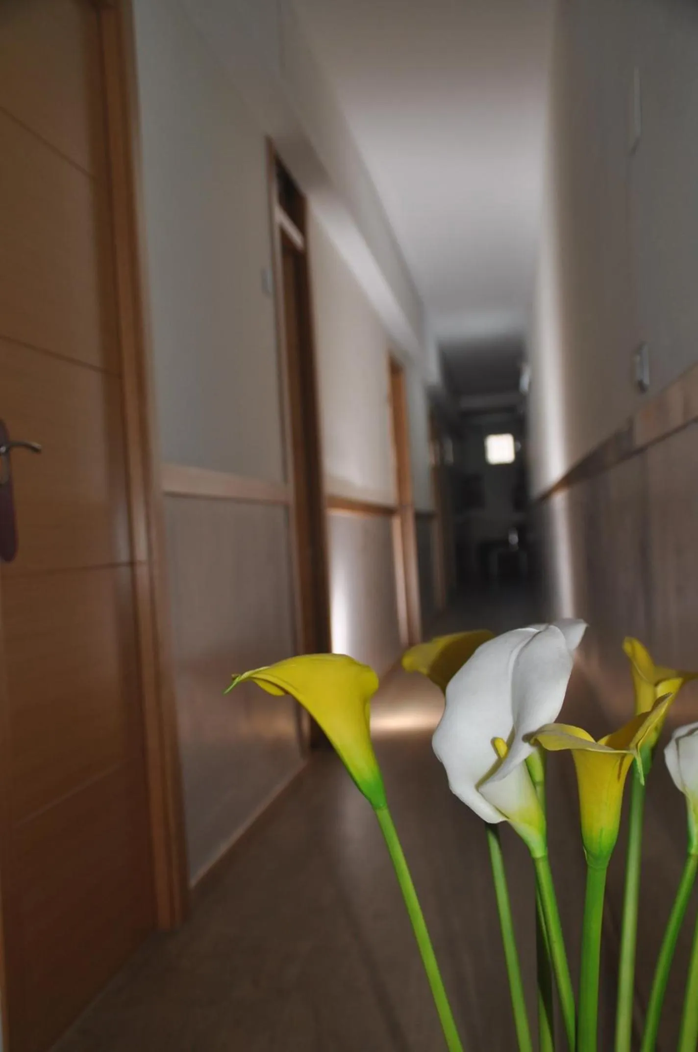 Other in Hostal Patria Madrid