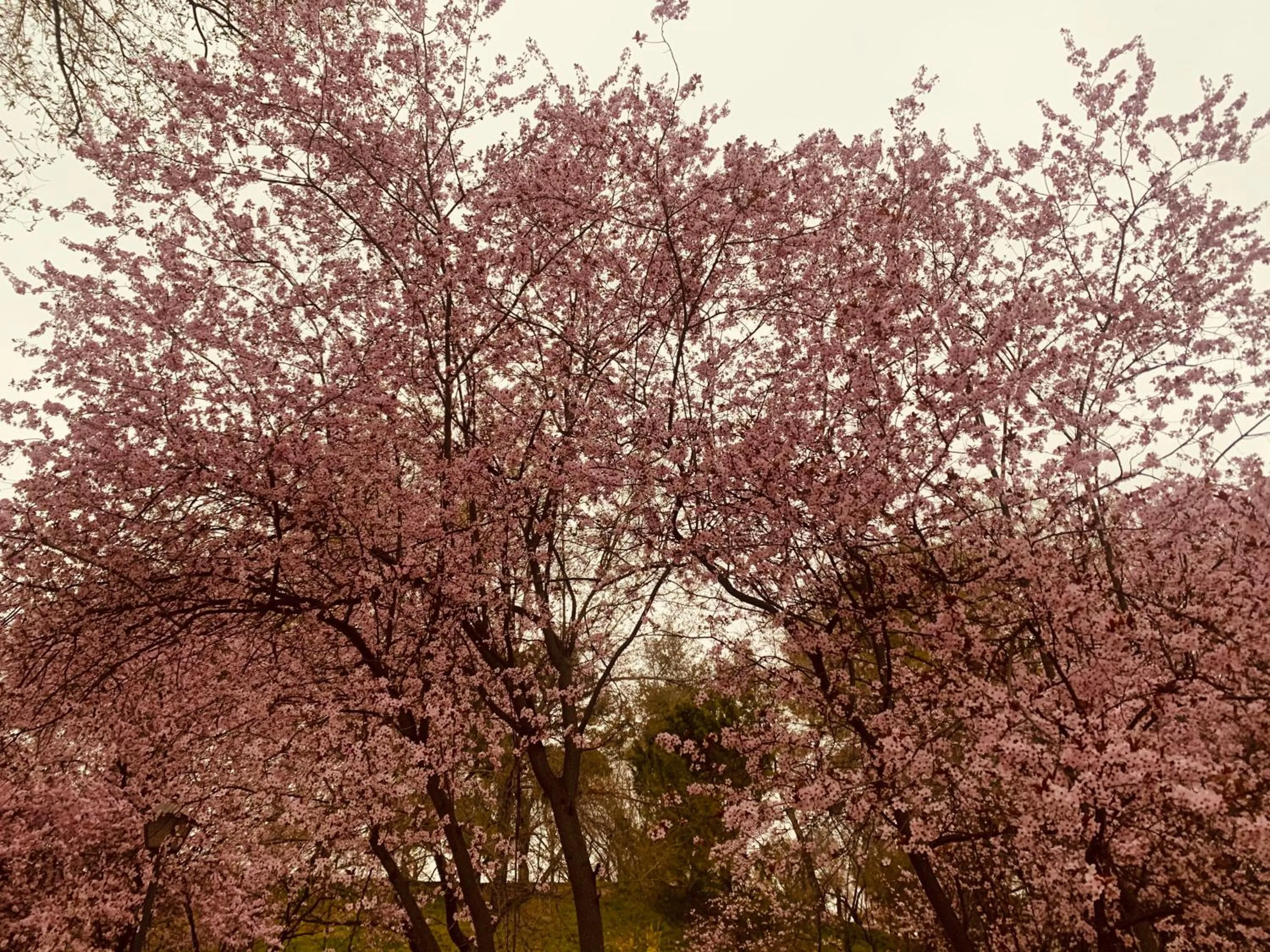 Property building in Hostal Patria Madrid