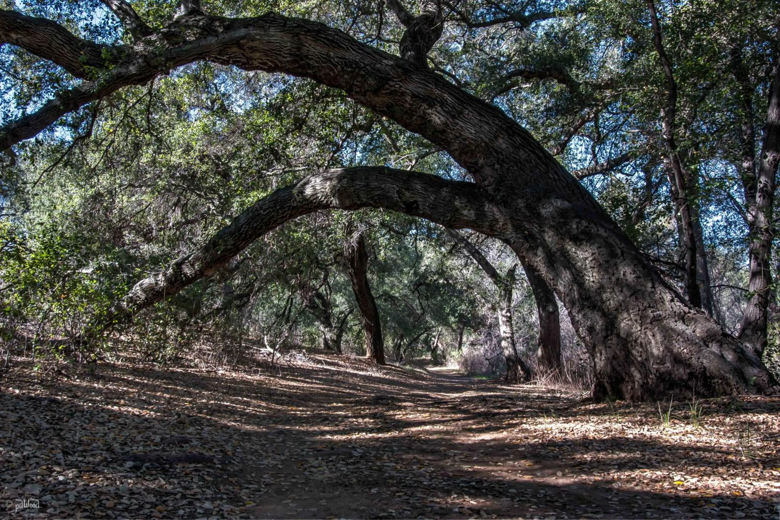 Hiking in San Vicente Golf Resort