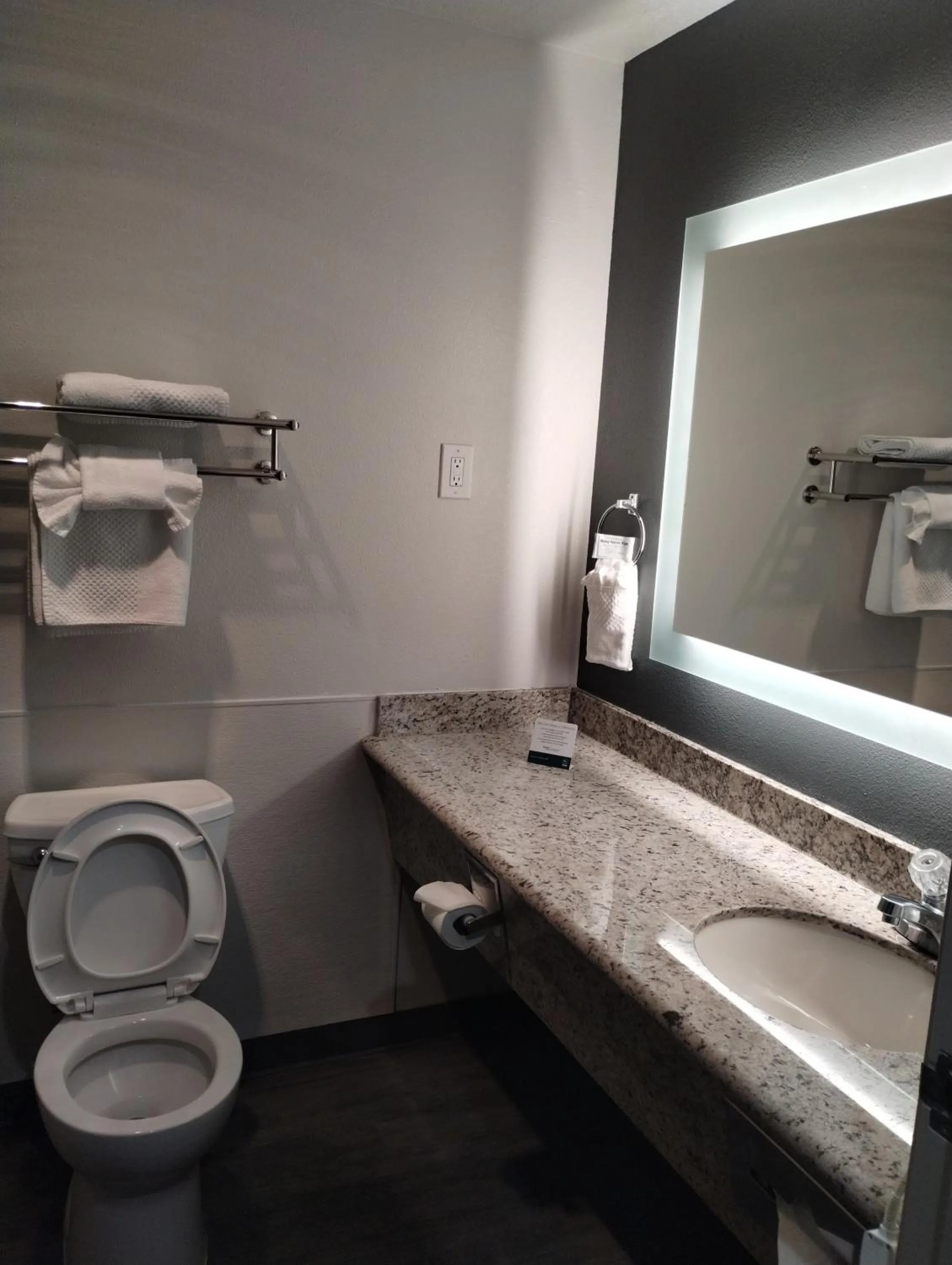 Toilet in Quality Inn & Suites Wilsonville