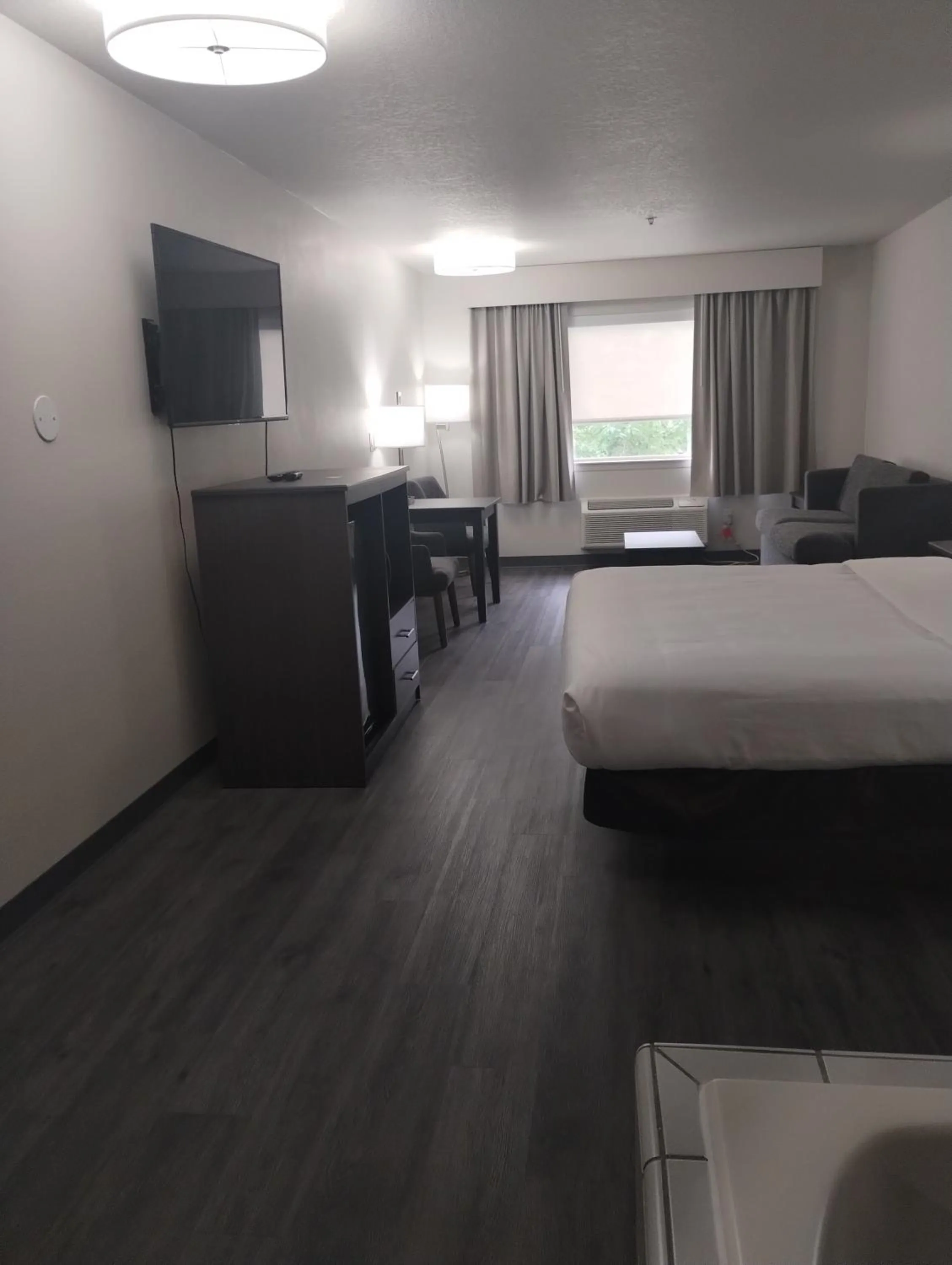 Photo of the whole room, Bed in Quality Inn & Suites Wilsonville