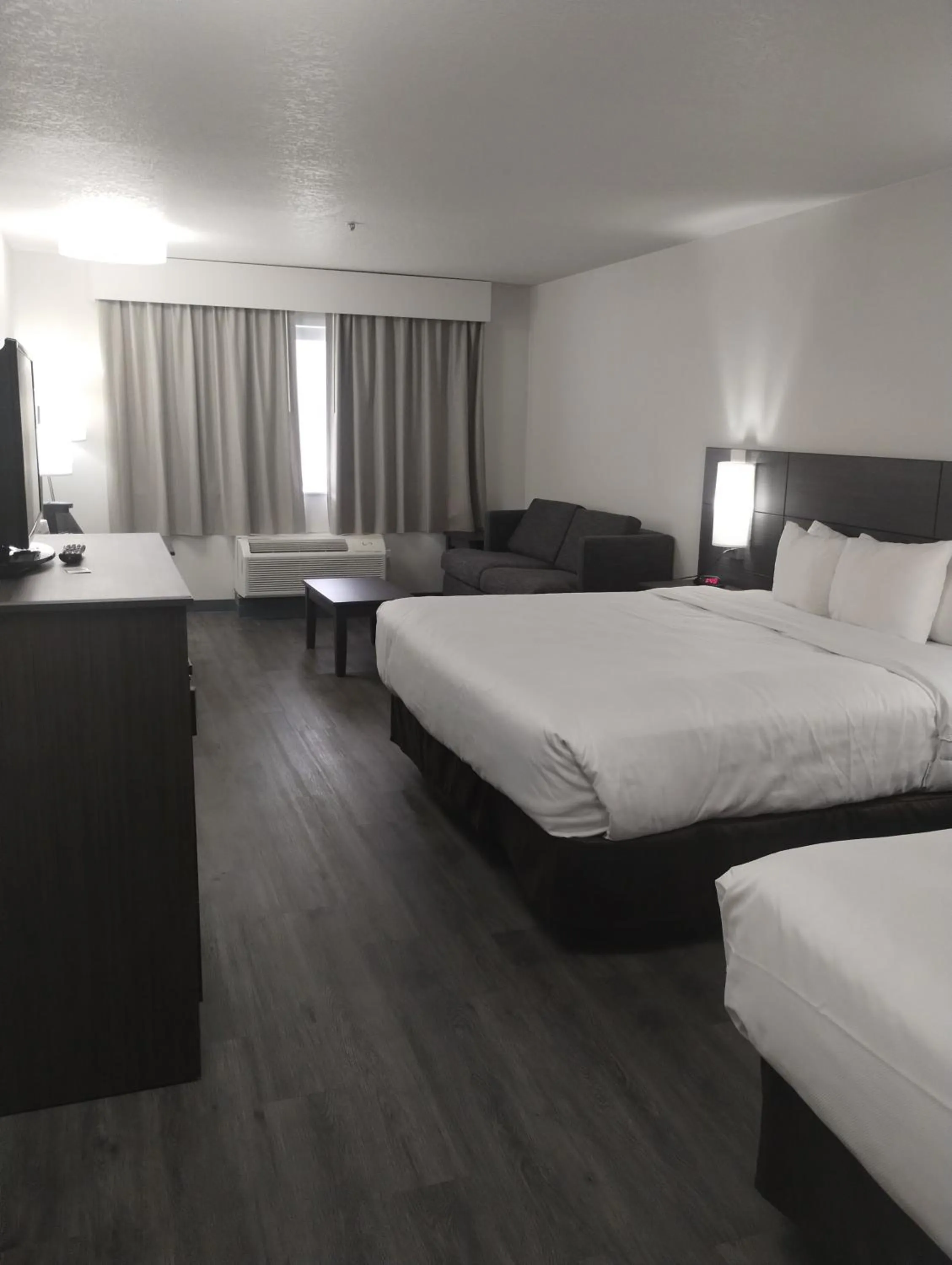 Photo of the whole room, Bed in Quality Inn & Suites Wilsonville