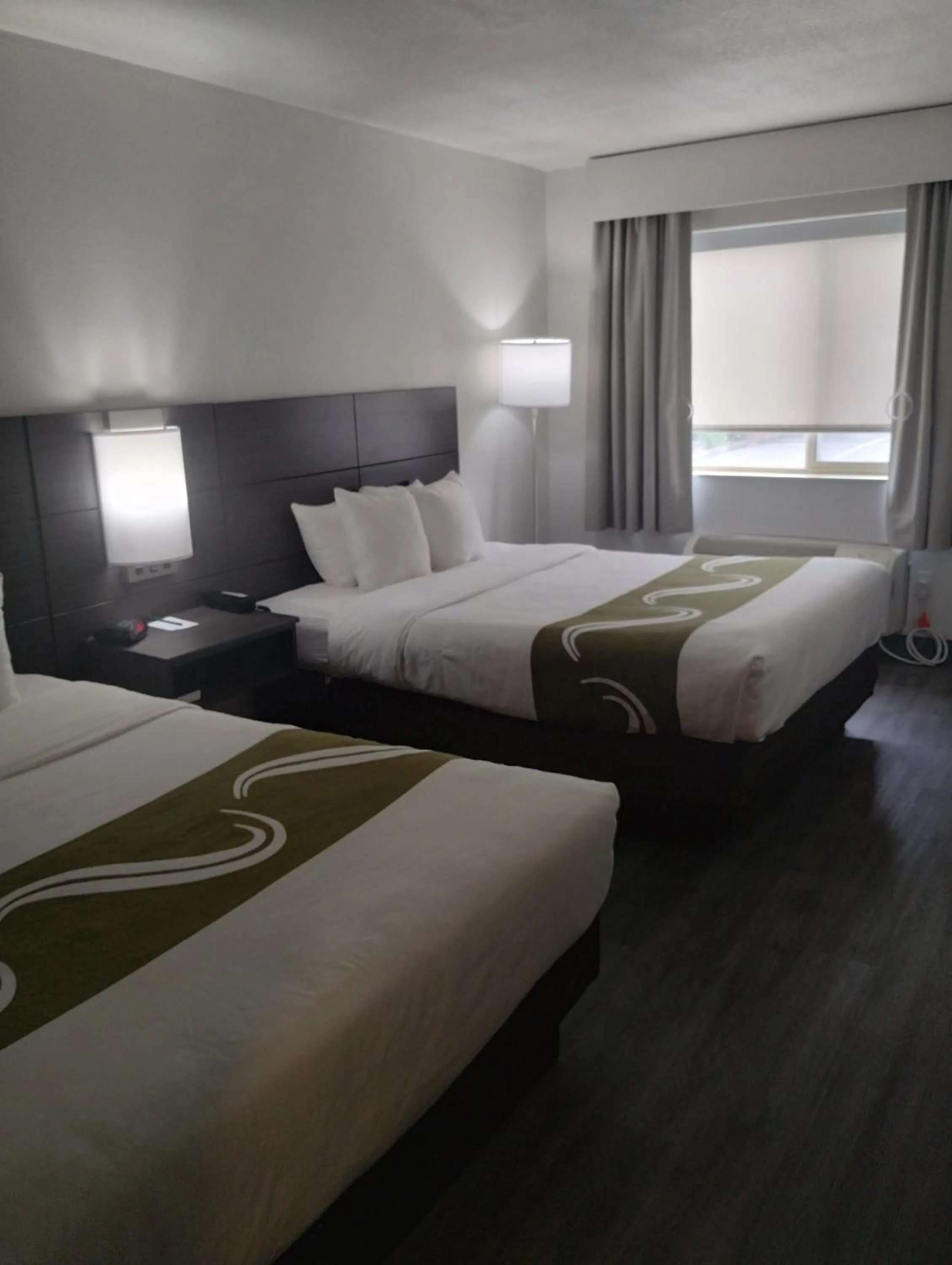 Photo of the whole room, Bed in Quality Inn & Suites Wilsonville