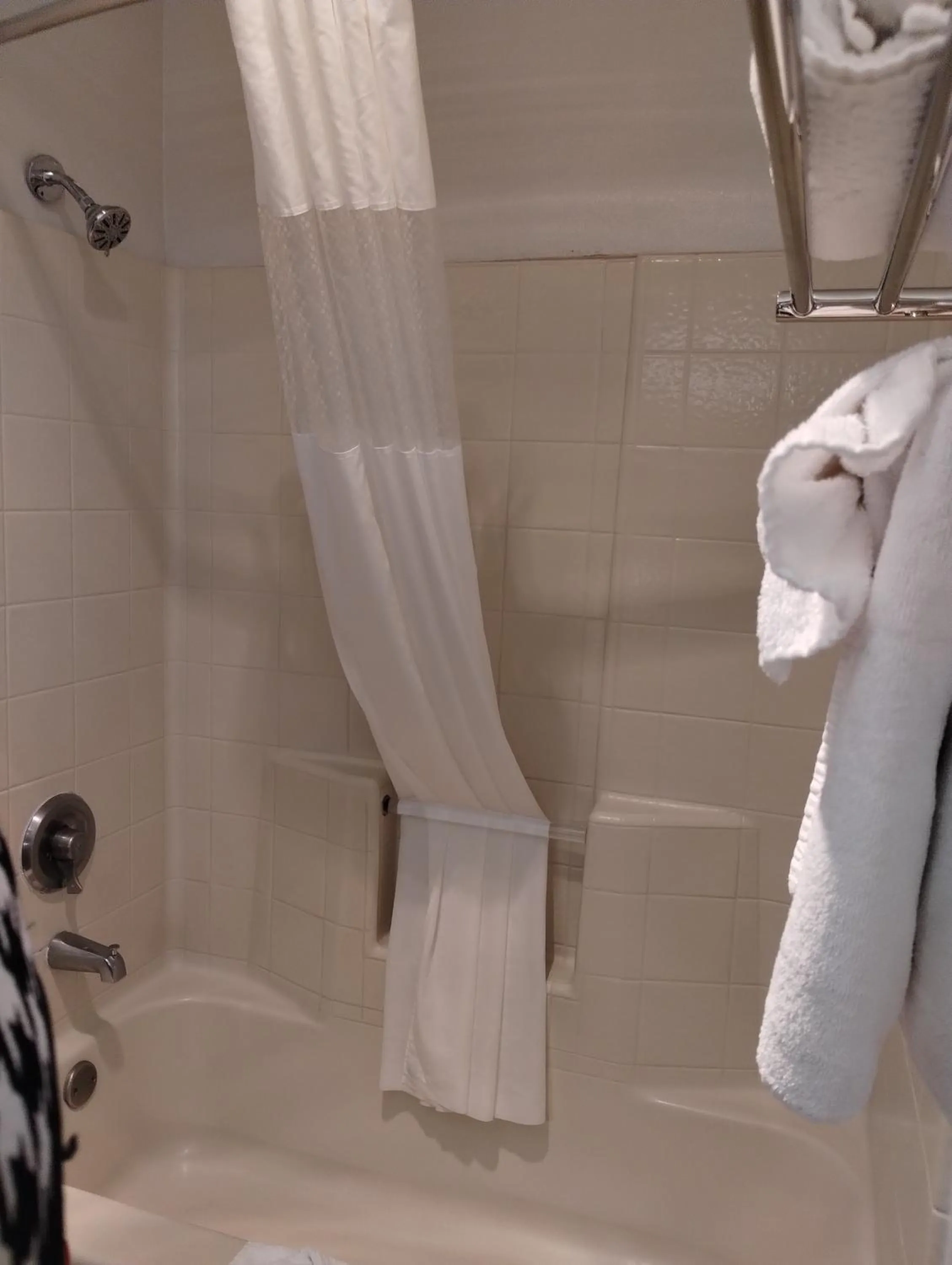 Shower in Quality Inn & Suites Wilsonville