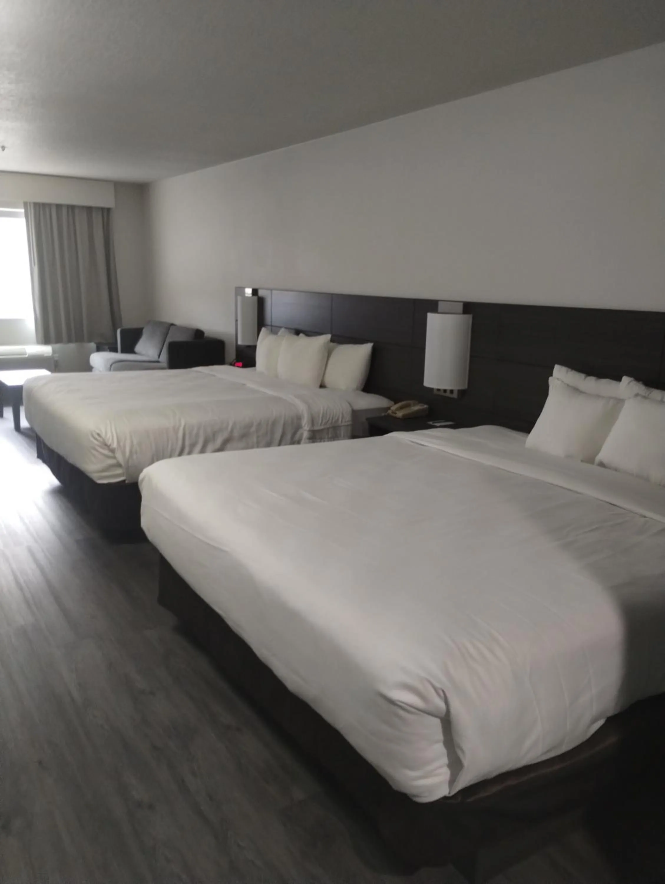 Bed in Quality Inn & Suites Wilsonville