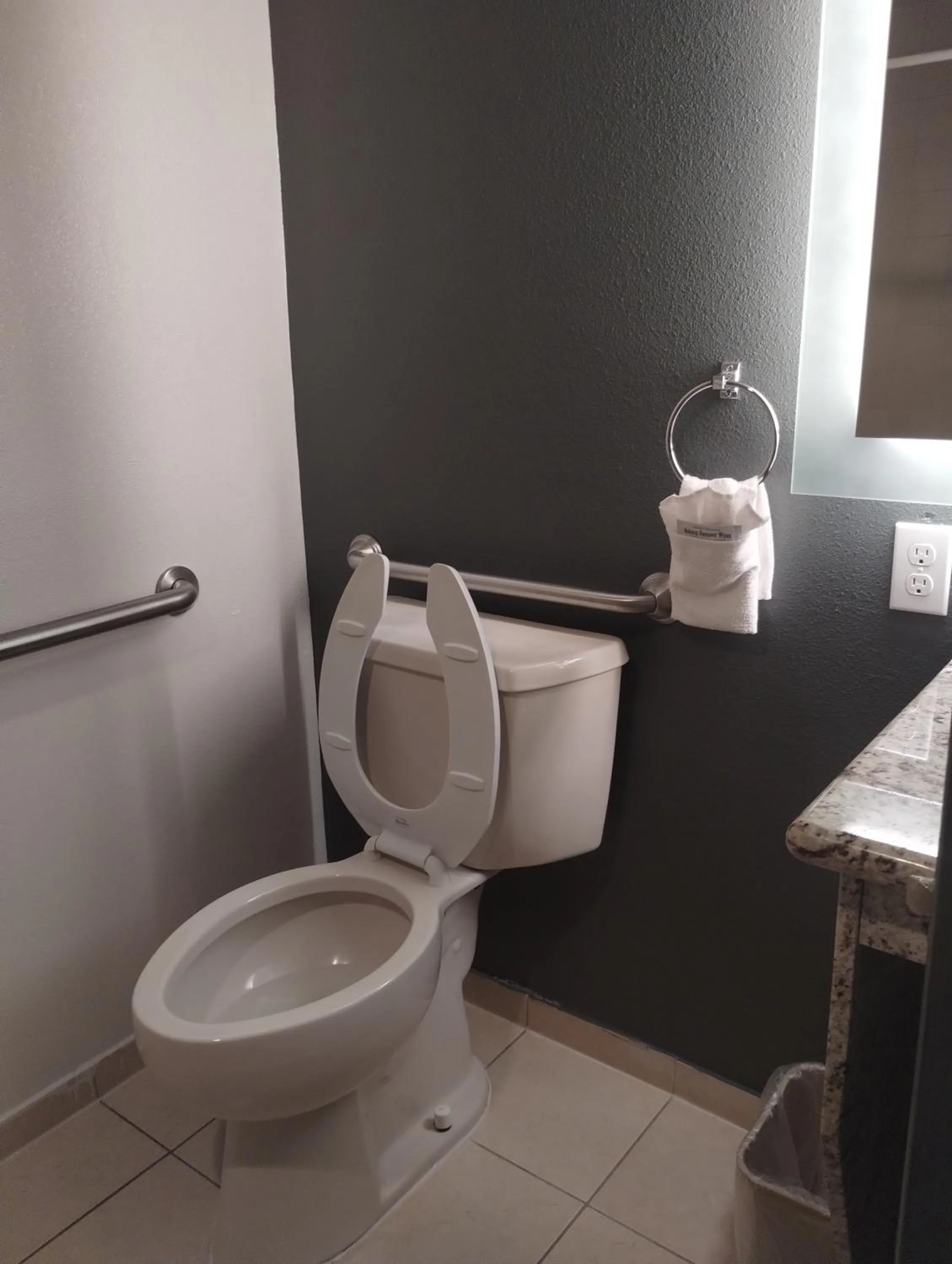 Toilet in Quality Inn & Suites Wilsonville