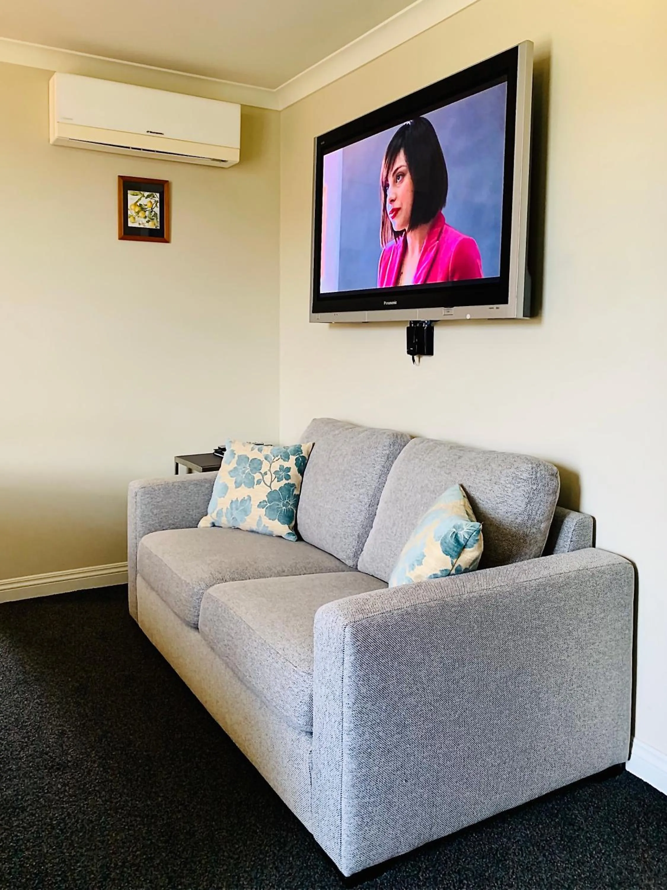 TV and multimedia in Tekapo Heights