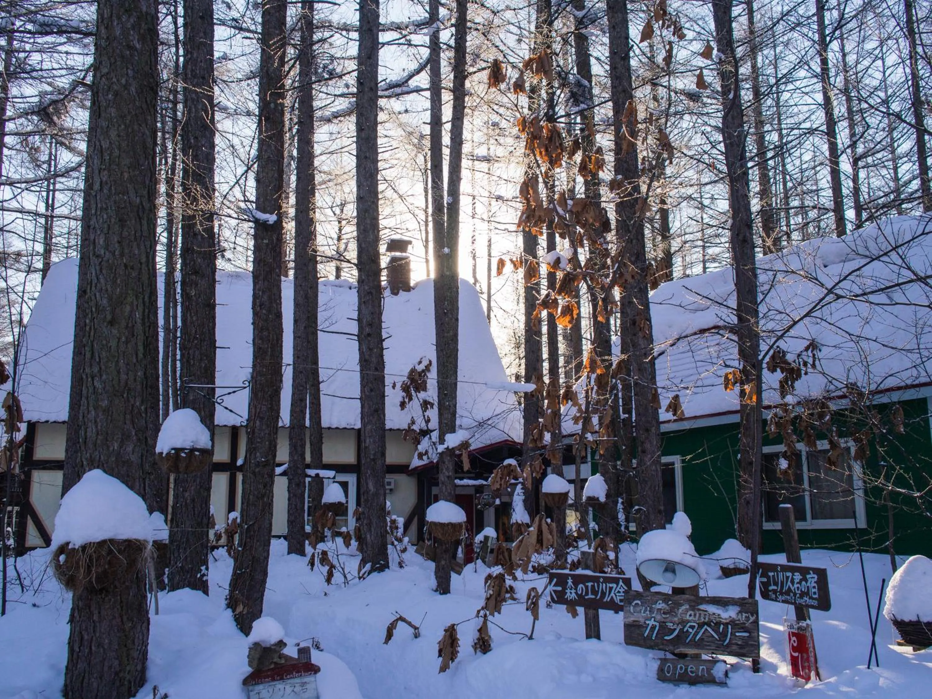 Winter in Guesthouse Canterbury