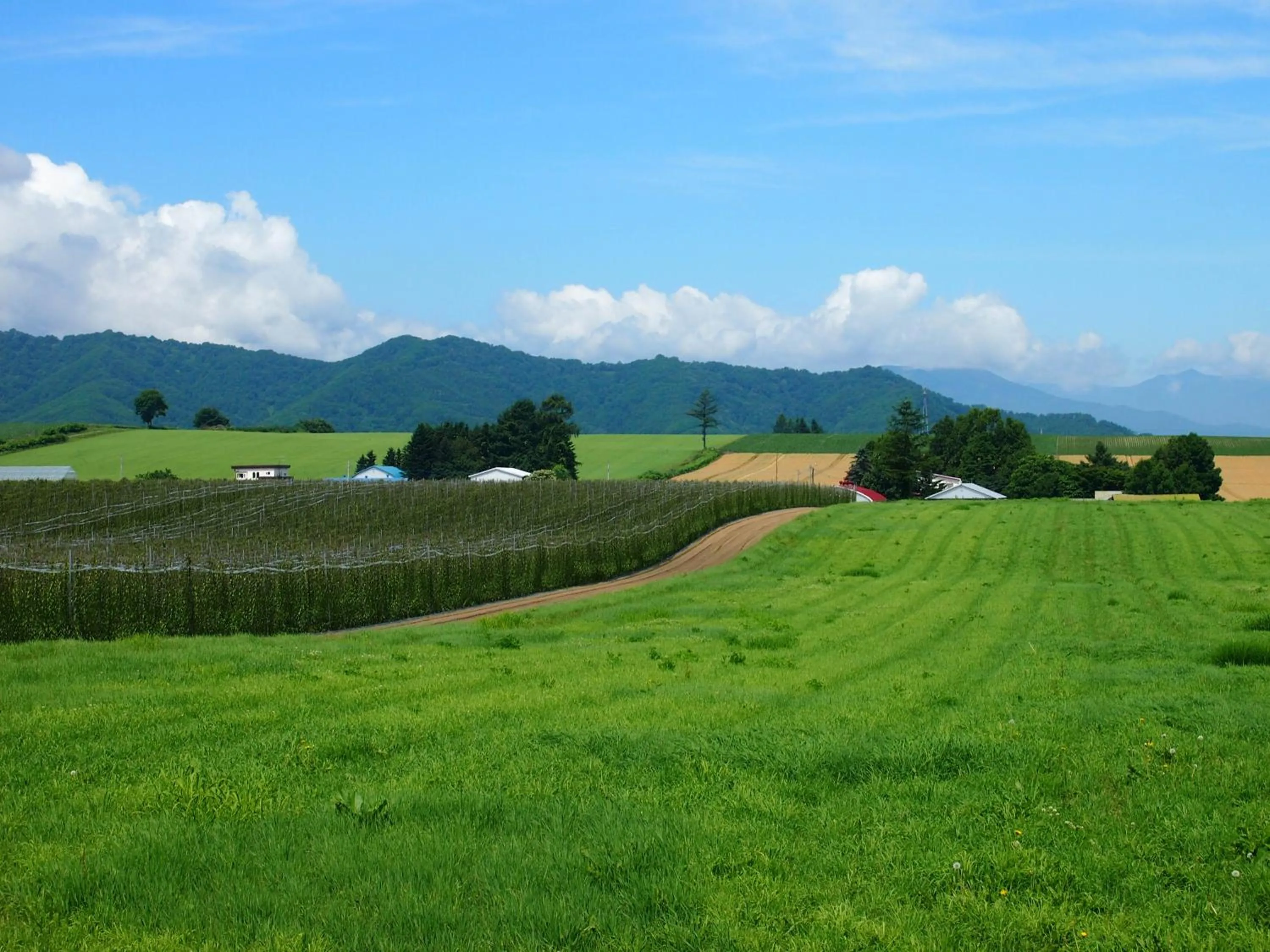 Off site in Guesthouse Canterbury