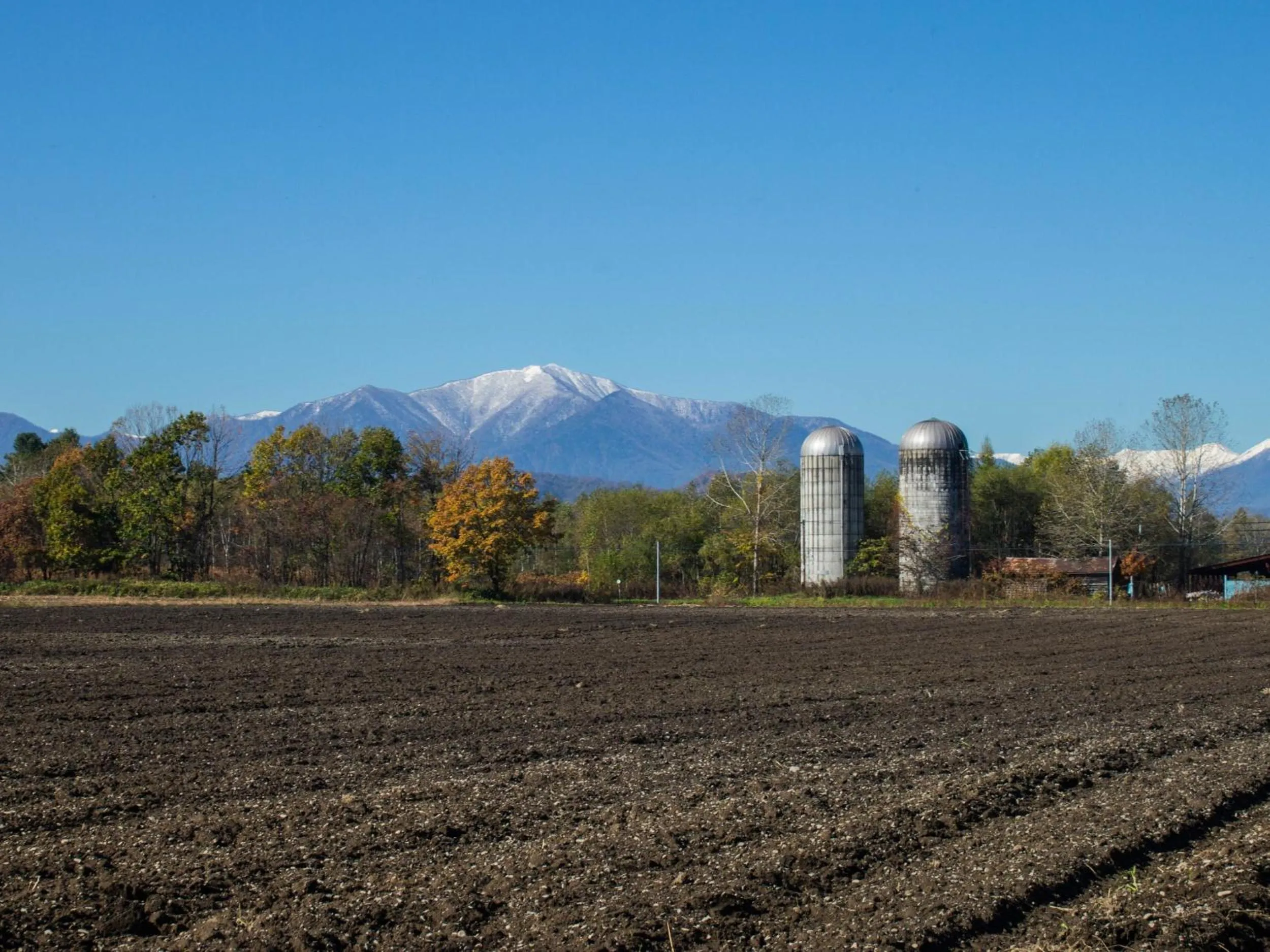 Autumn in Guesthouse Canterbury