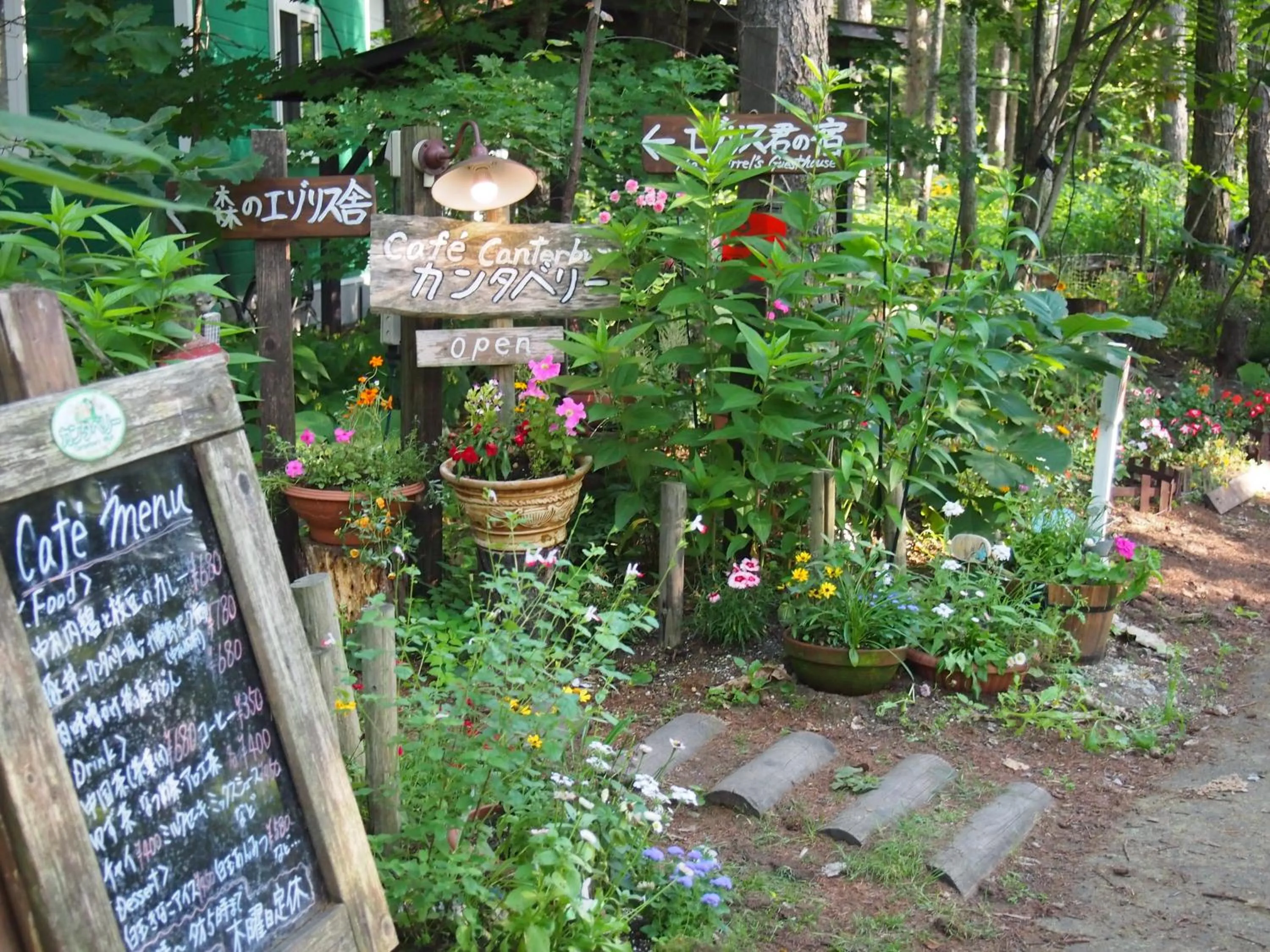 Garden in Guesthouse Canterbury