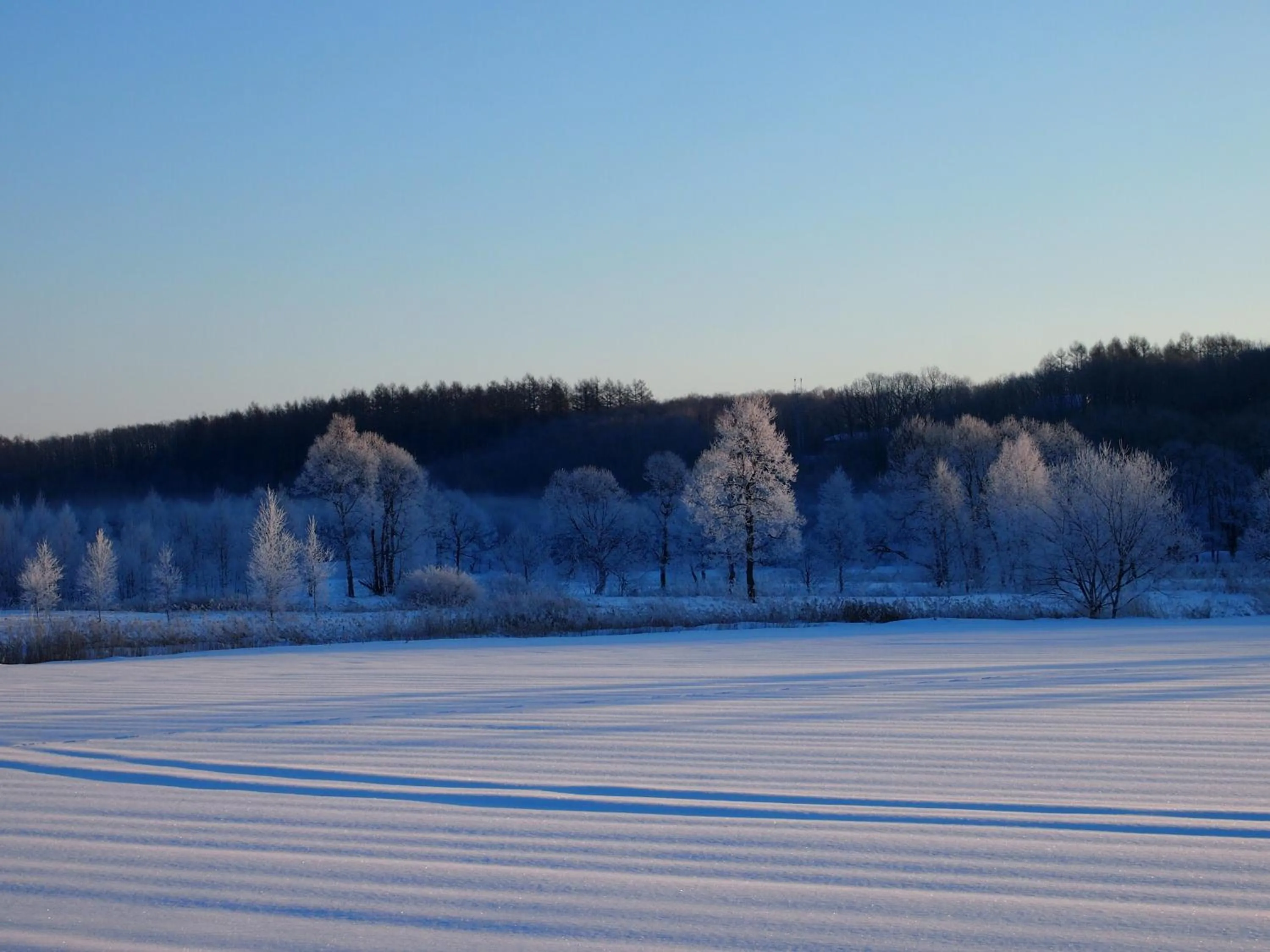 Winter in Guesthouse Canterbury