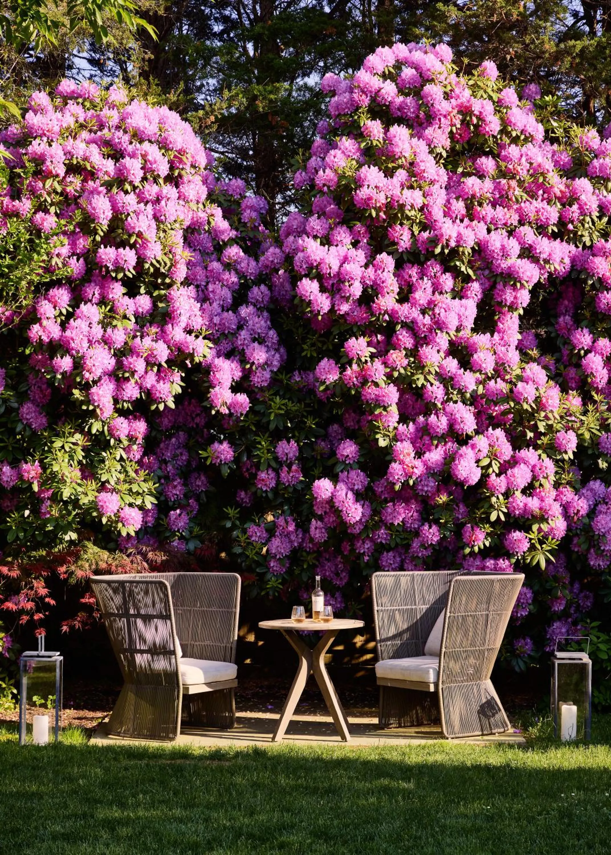 Garden in Journey East Hampton