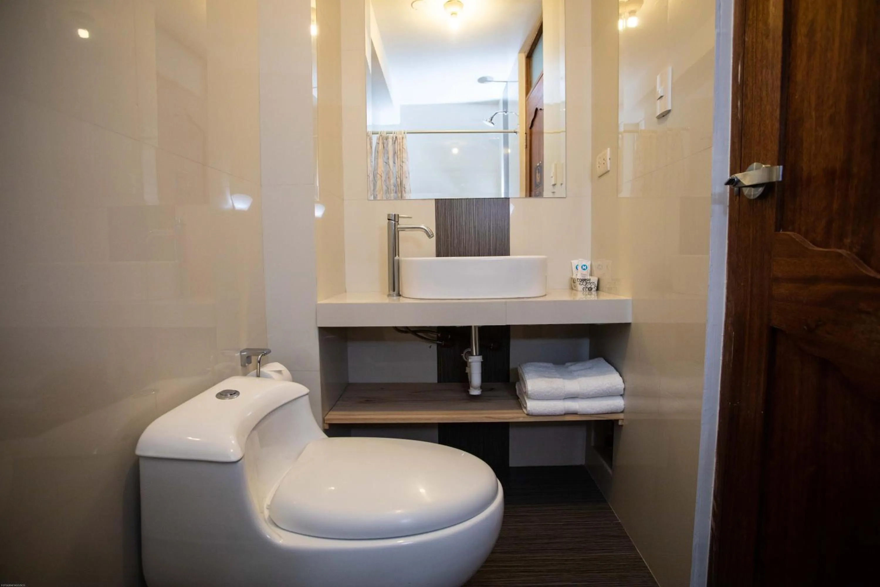 Toilet in Hotel Las Quenas