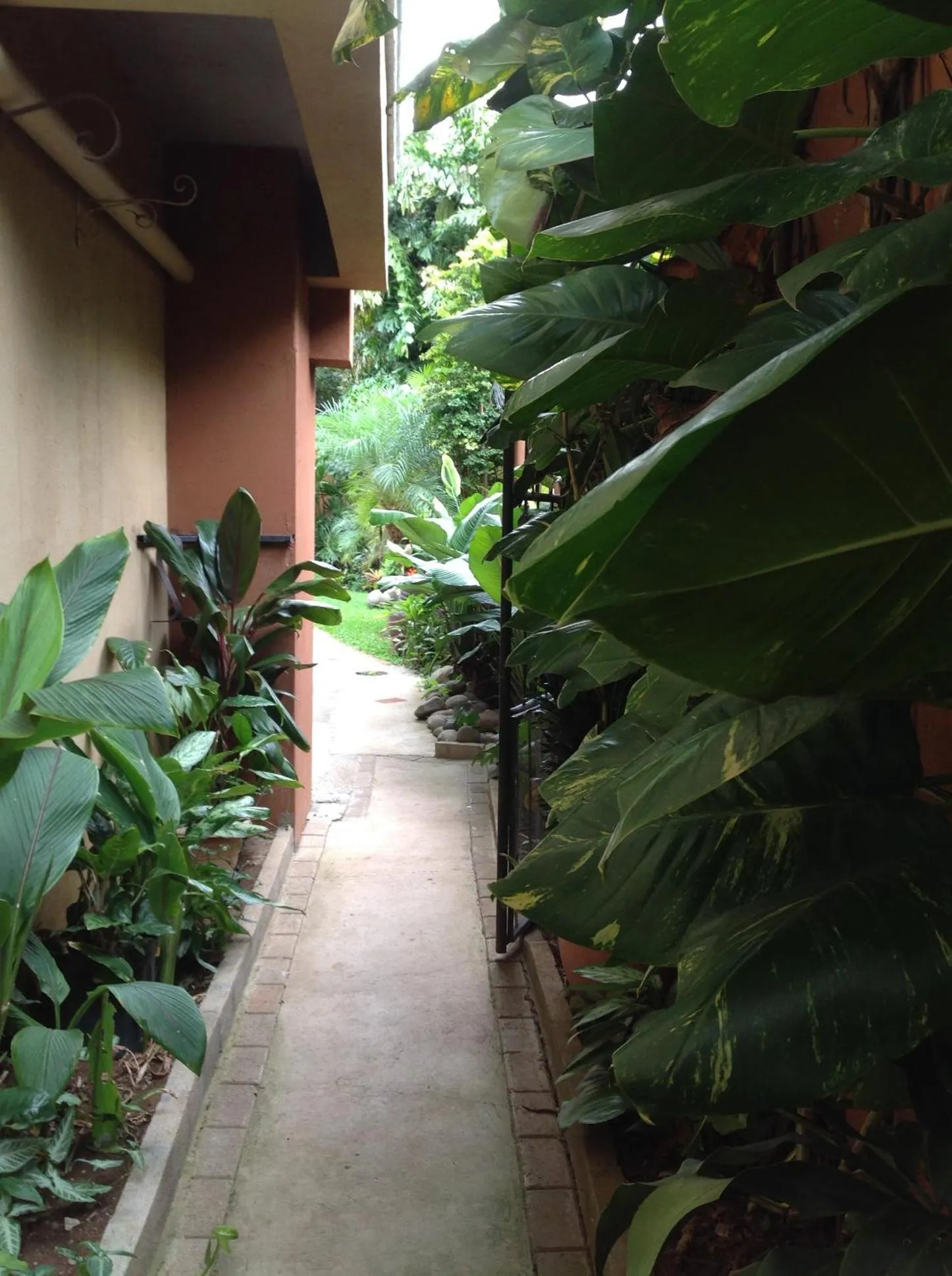 Garden in Hotel Santa Maria Inn