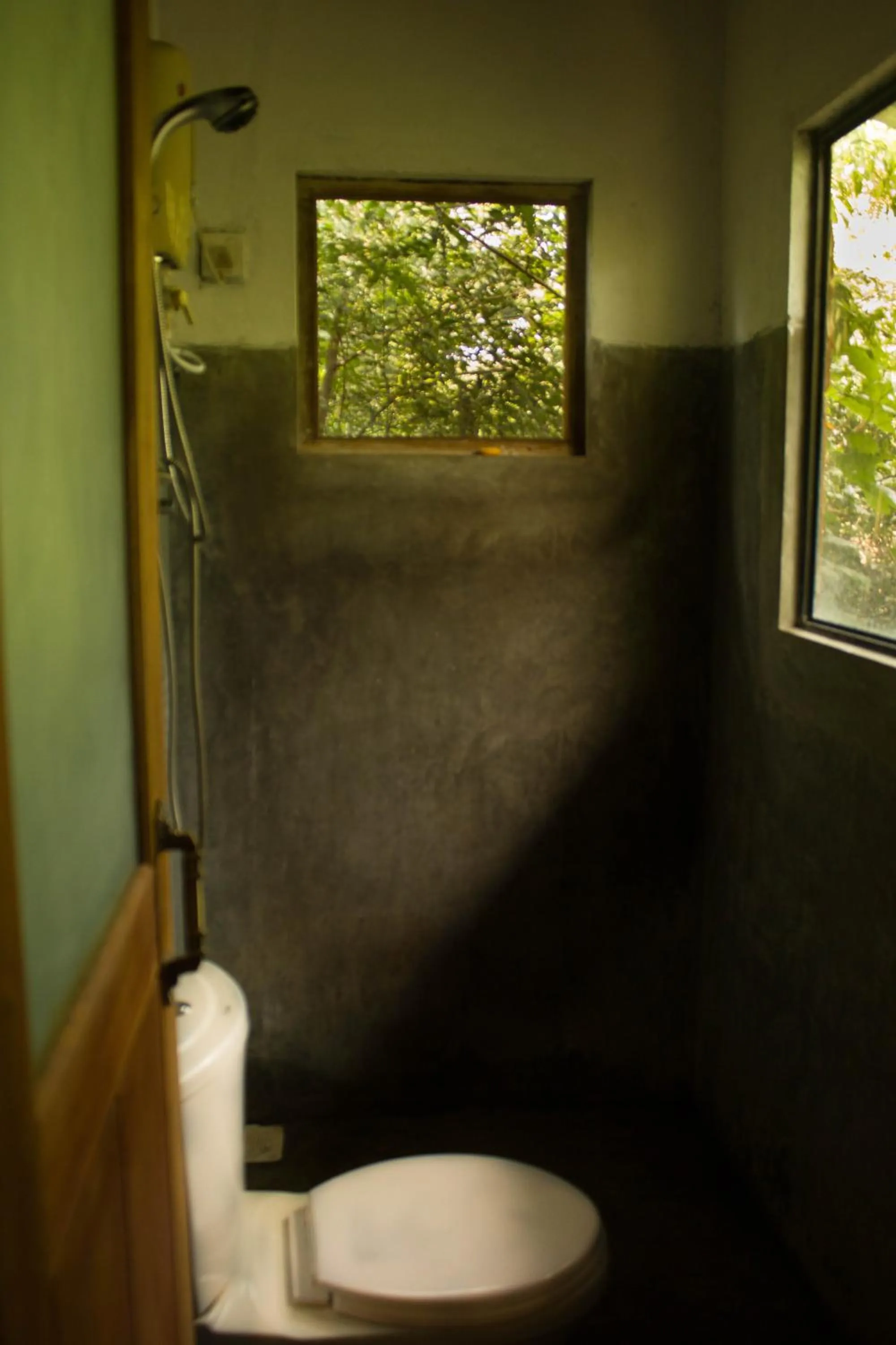 Bathroom in The Thick Forest