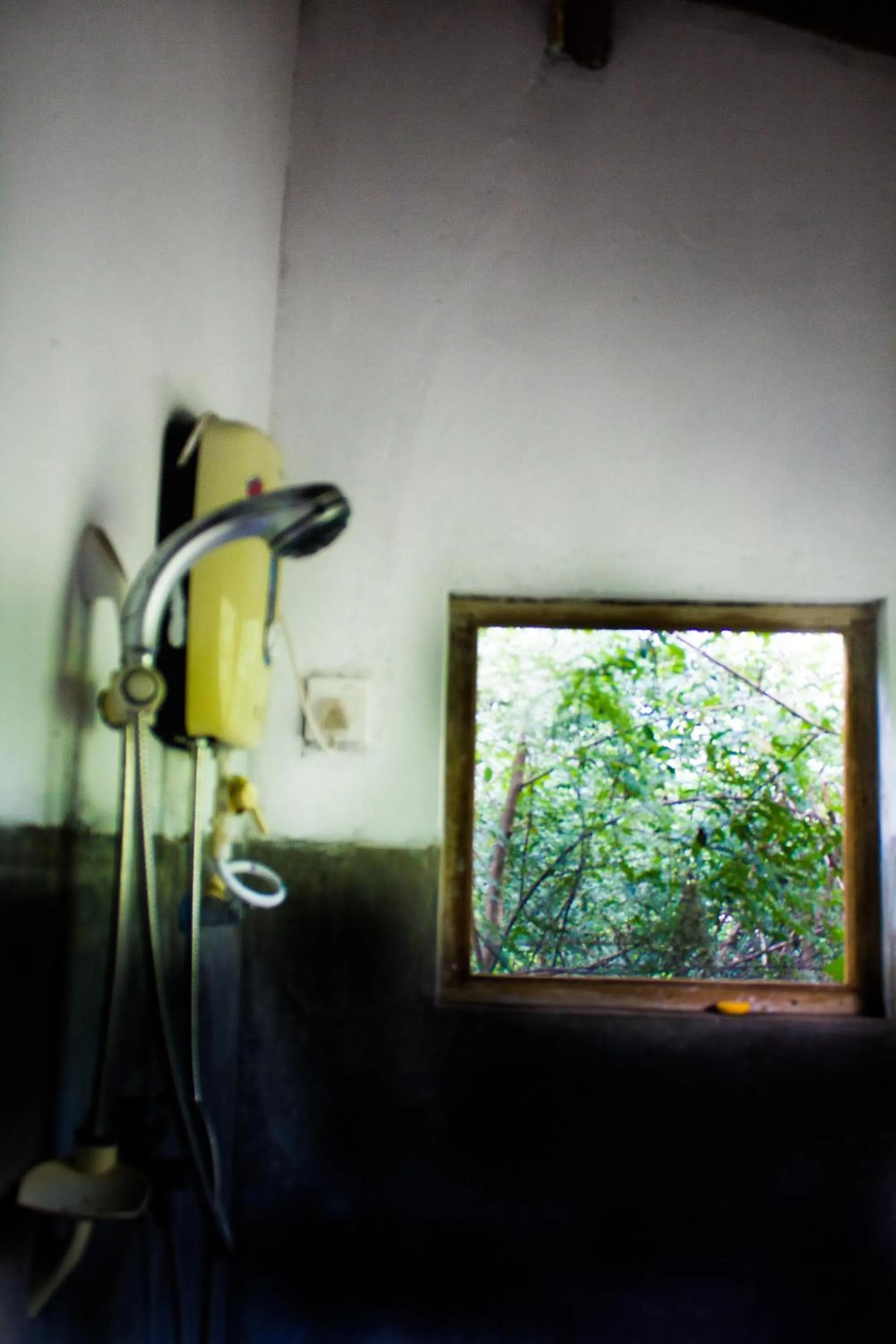 Bathroom in The Thick Forest