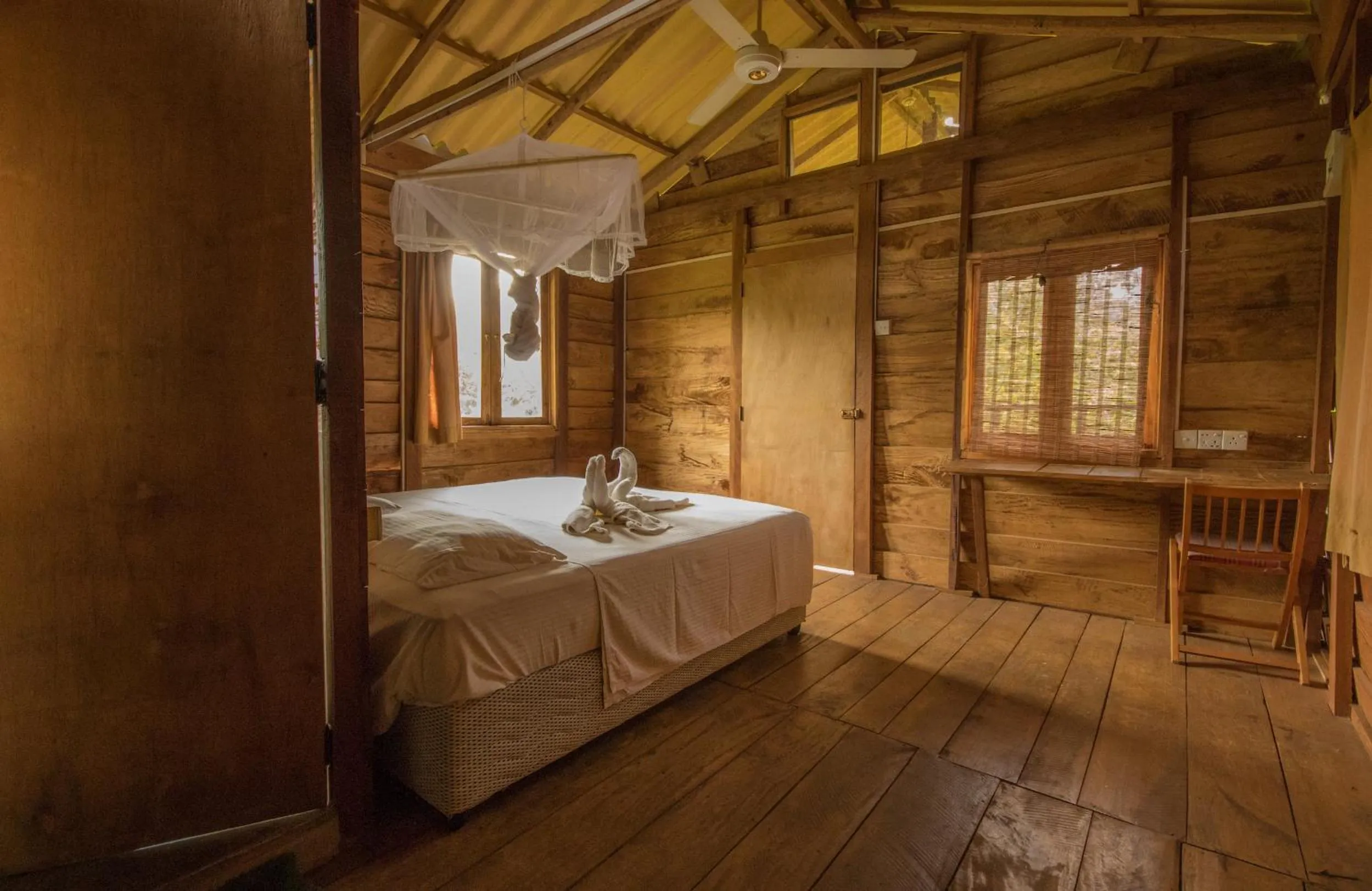 Photo of the whole room, Bed in The Thick Forest