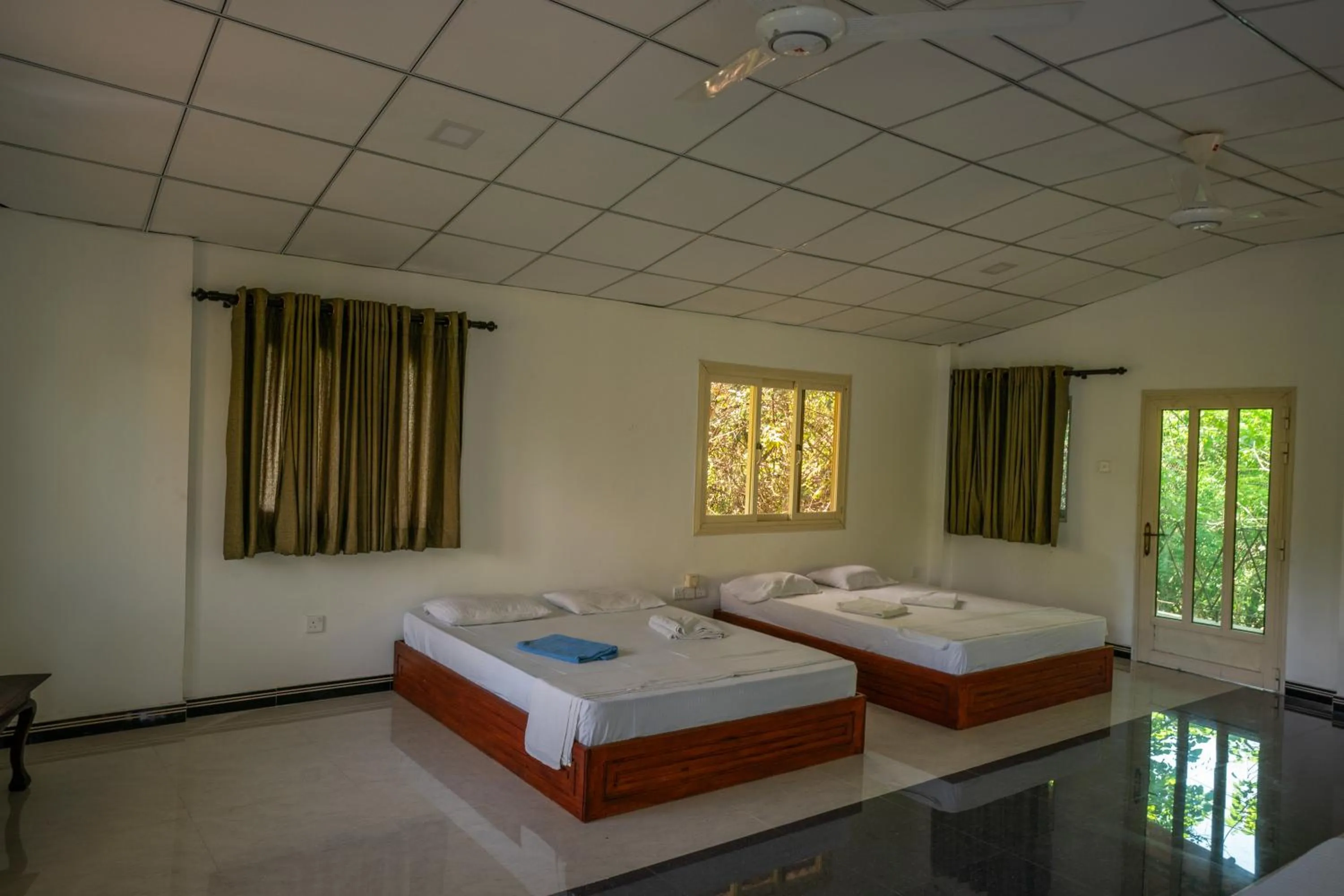 Photo of the whole room, Bed in The Thick Forest