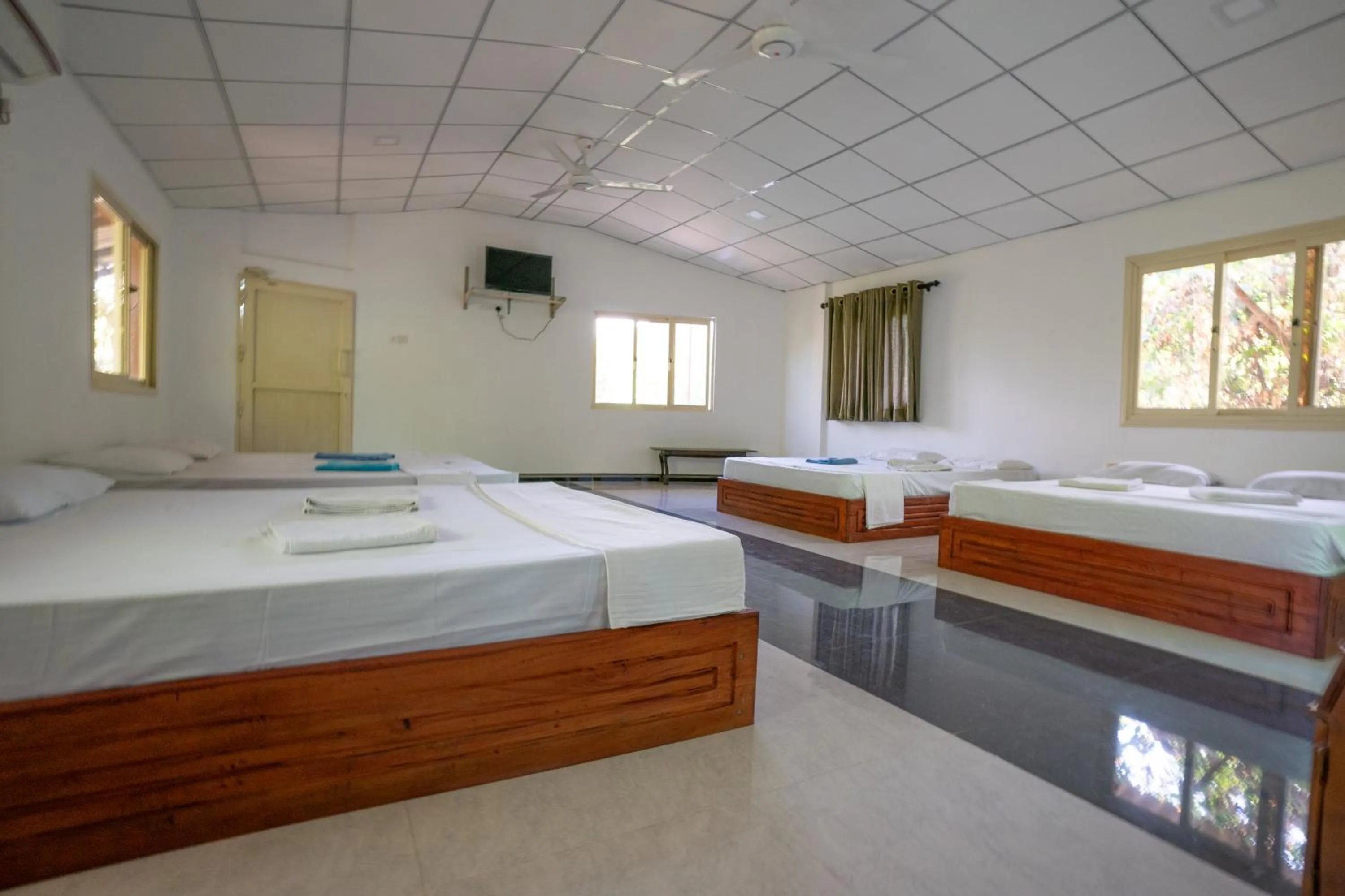 TV and multimedia, Bed in The Thick Forest