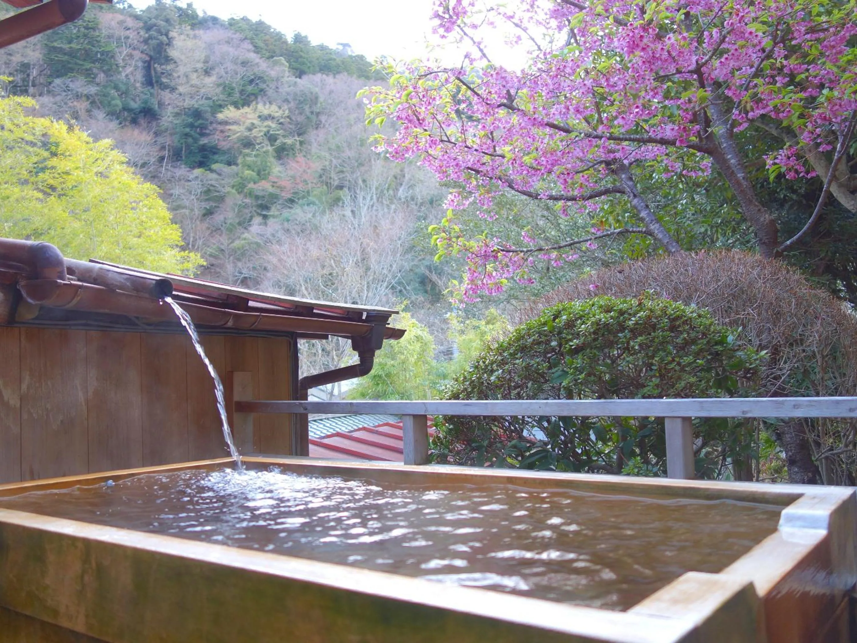 Hot Spring Bath in Sakaya Ryokan Yoshina Onsen
