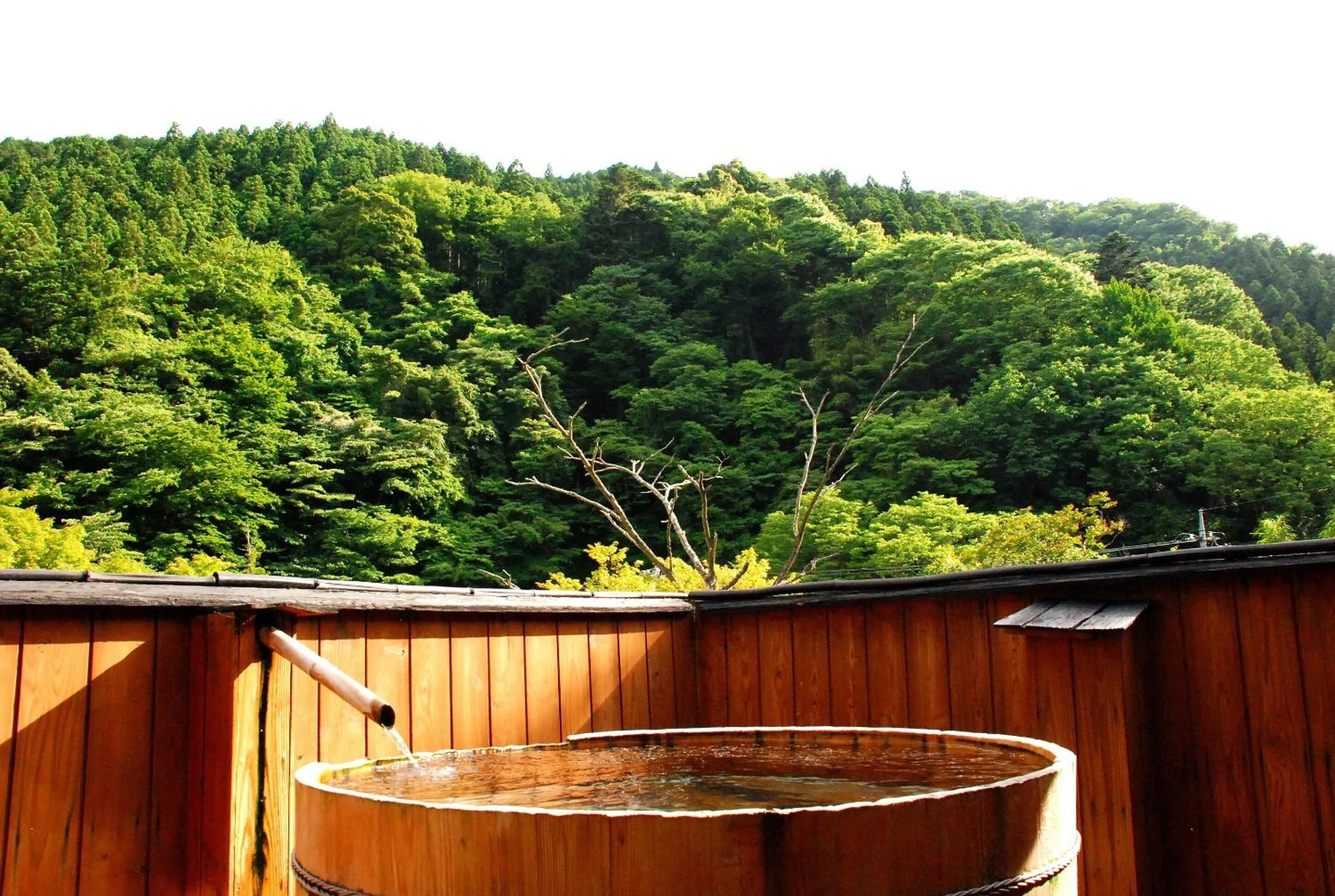Natural landscape in Sakaya Ryokan Yoshina Onsen