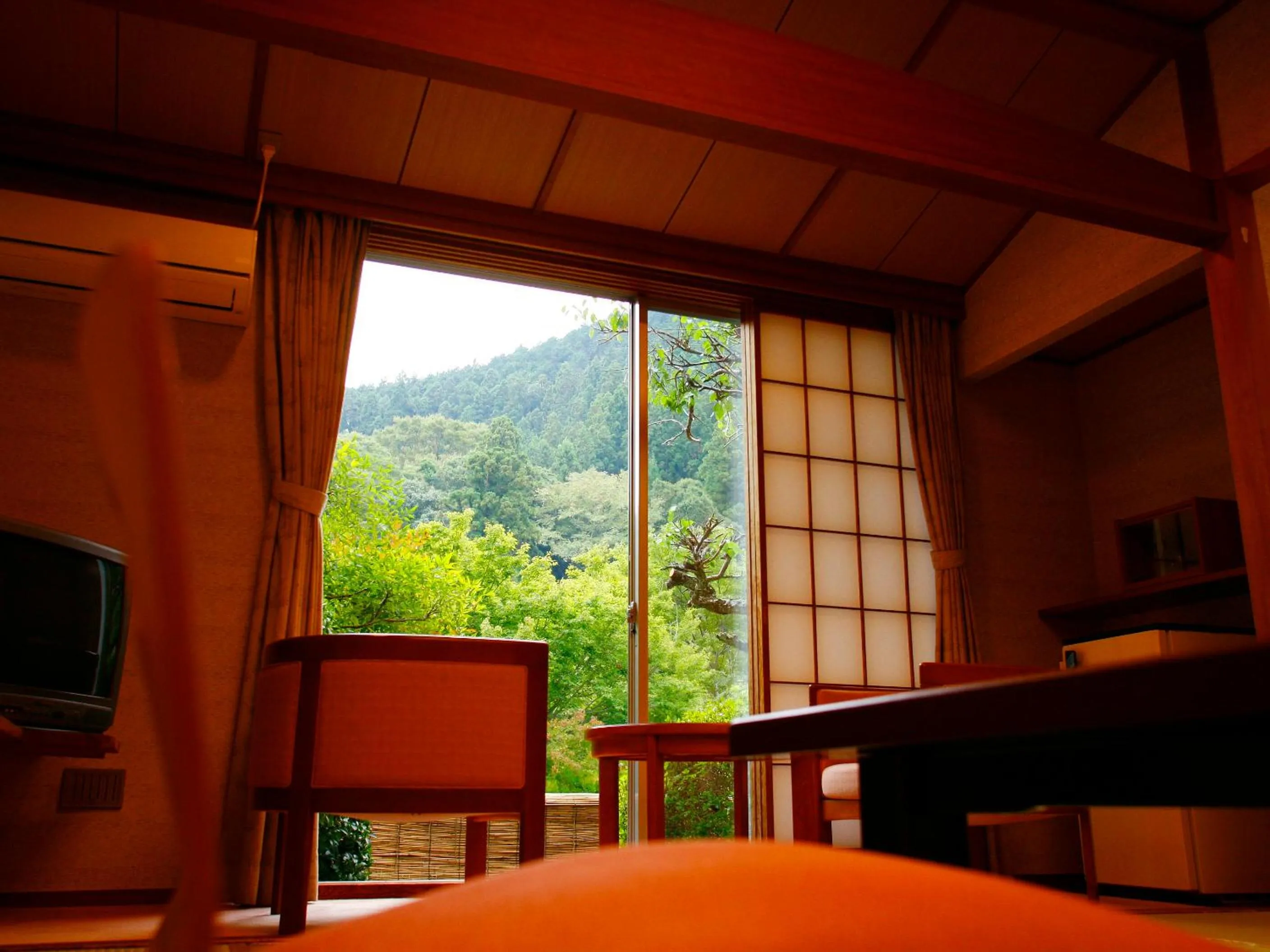 View (from property/room) in Sakaya Ryokan Yoshina Onsen