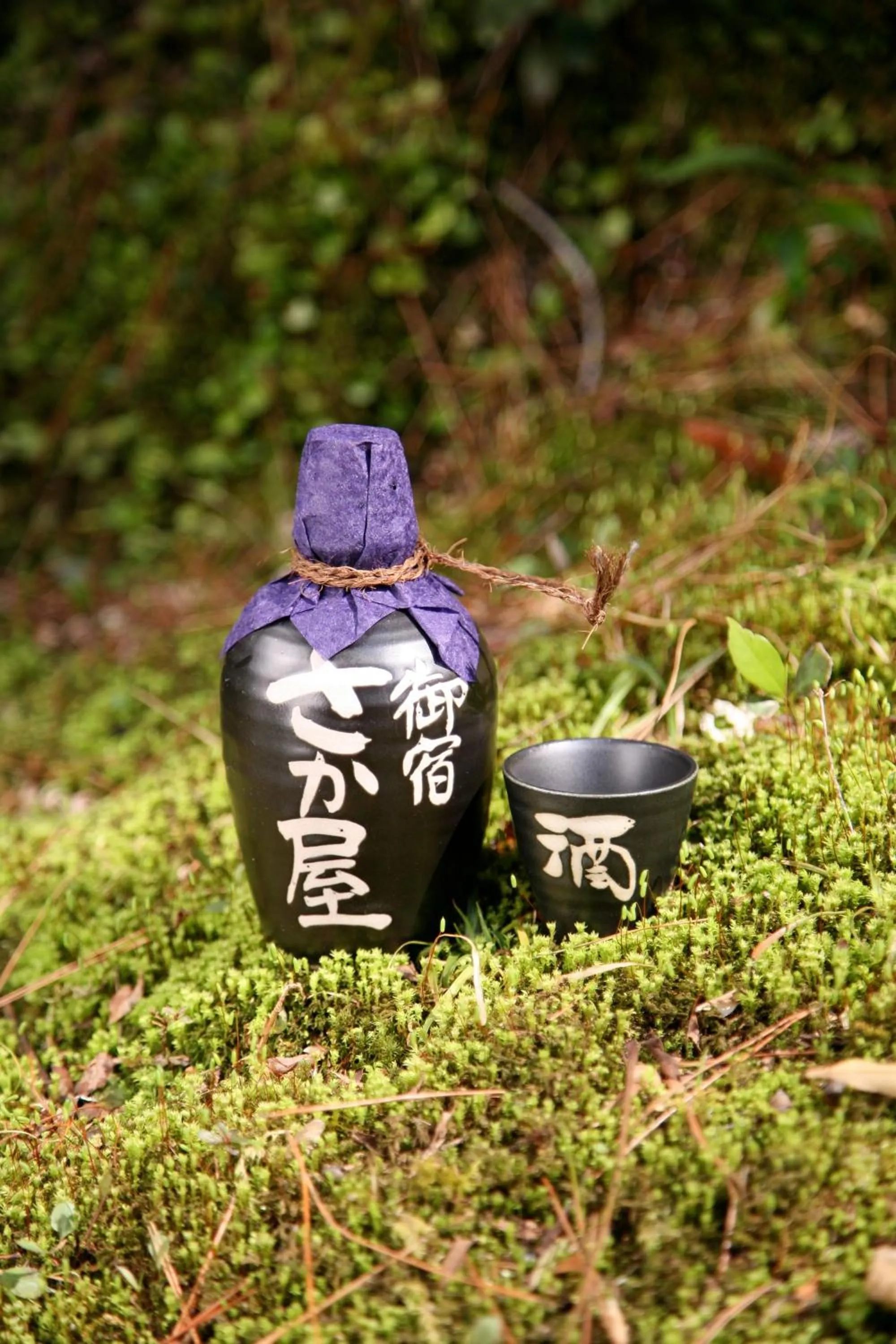 Drinks in Sakaya Ryokan Yoshina Onsen