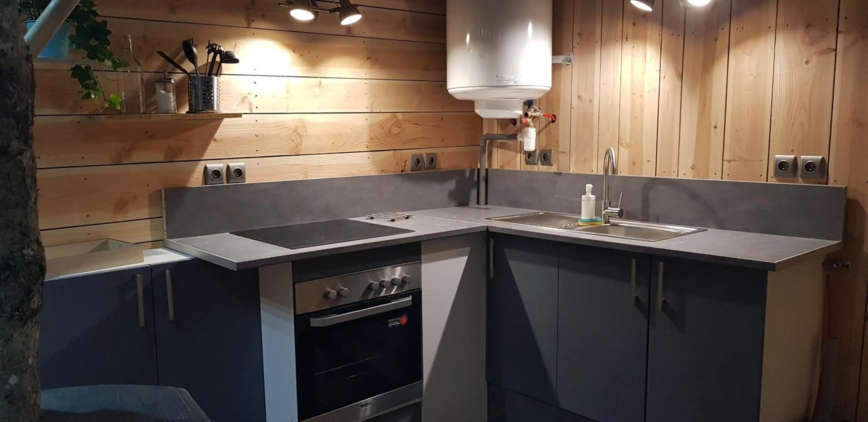 Kitchen or kitchenette in CABANE à DRINE