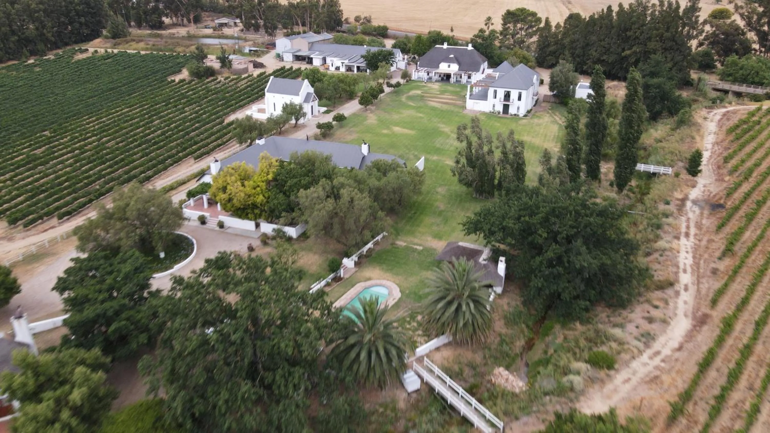 View (from property/room) in Manley Wine Estate