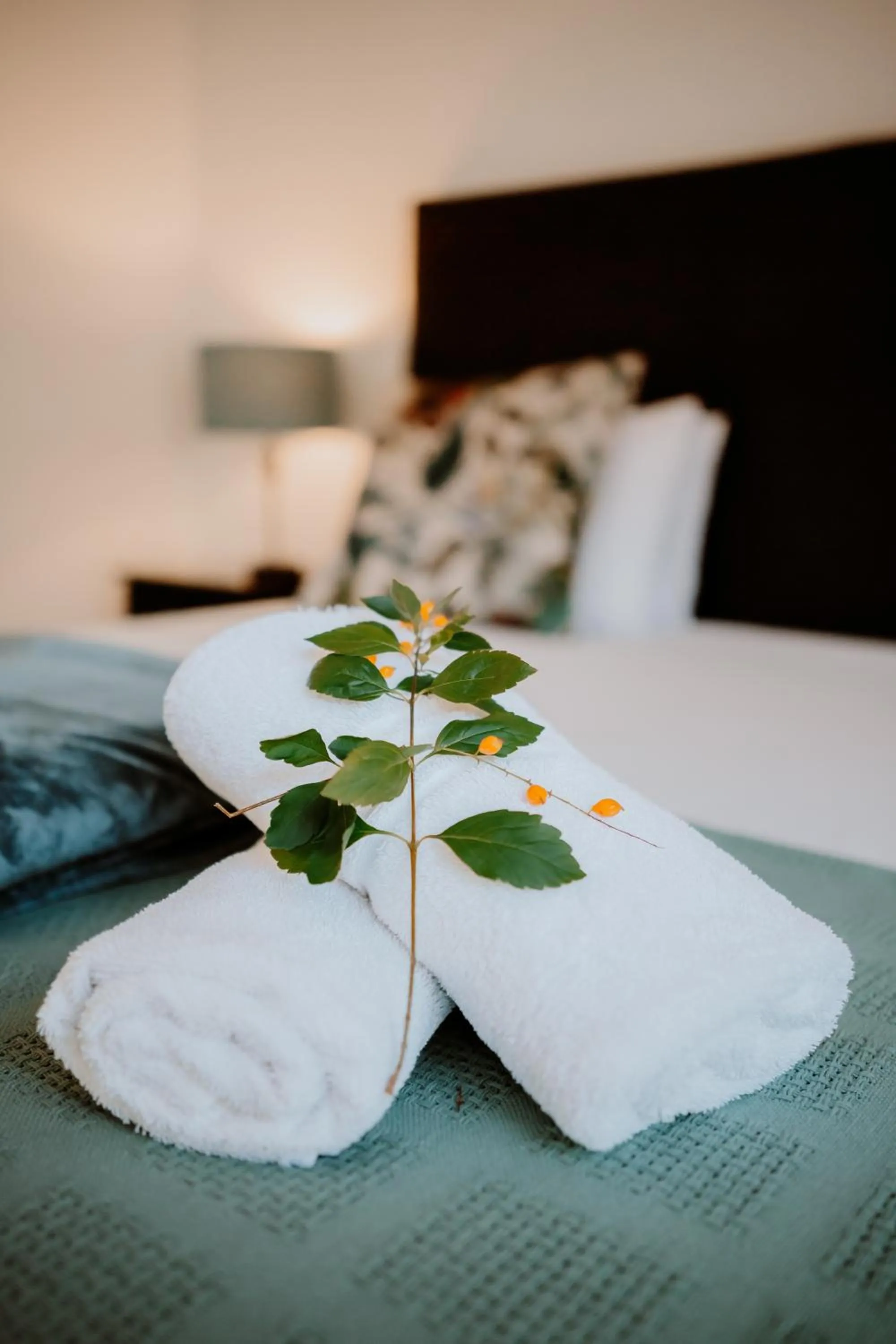 Photo of the whole room, Bed in Manley Wine Estate