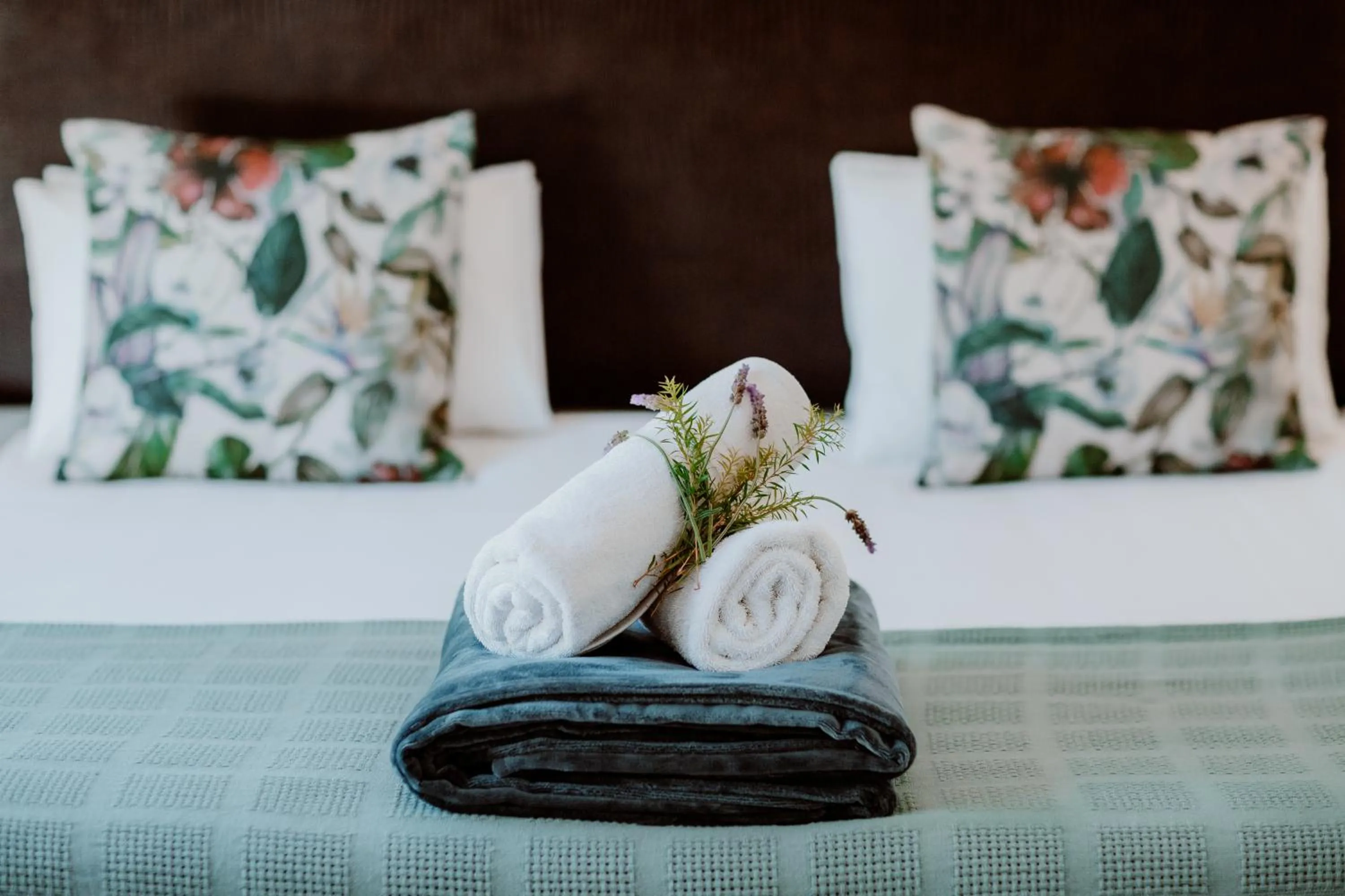 Photo of the whole room, Bed in Manley Wine Estate