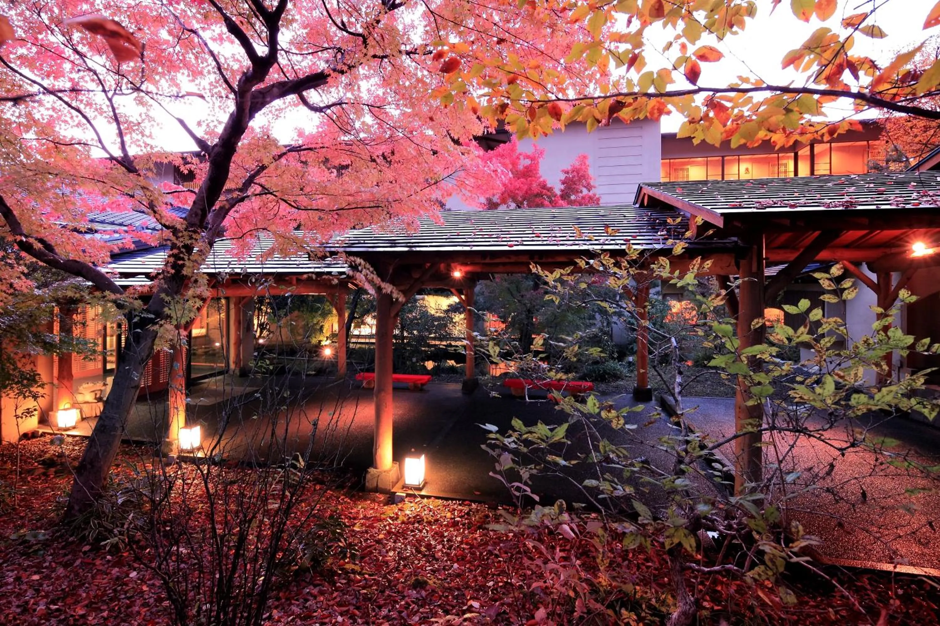 Facade/entrance in Senkyo