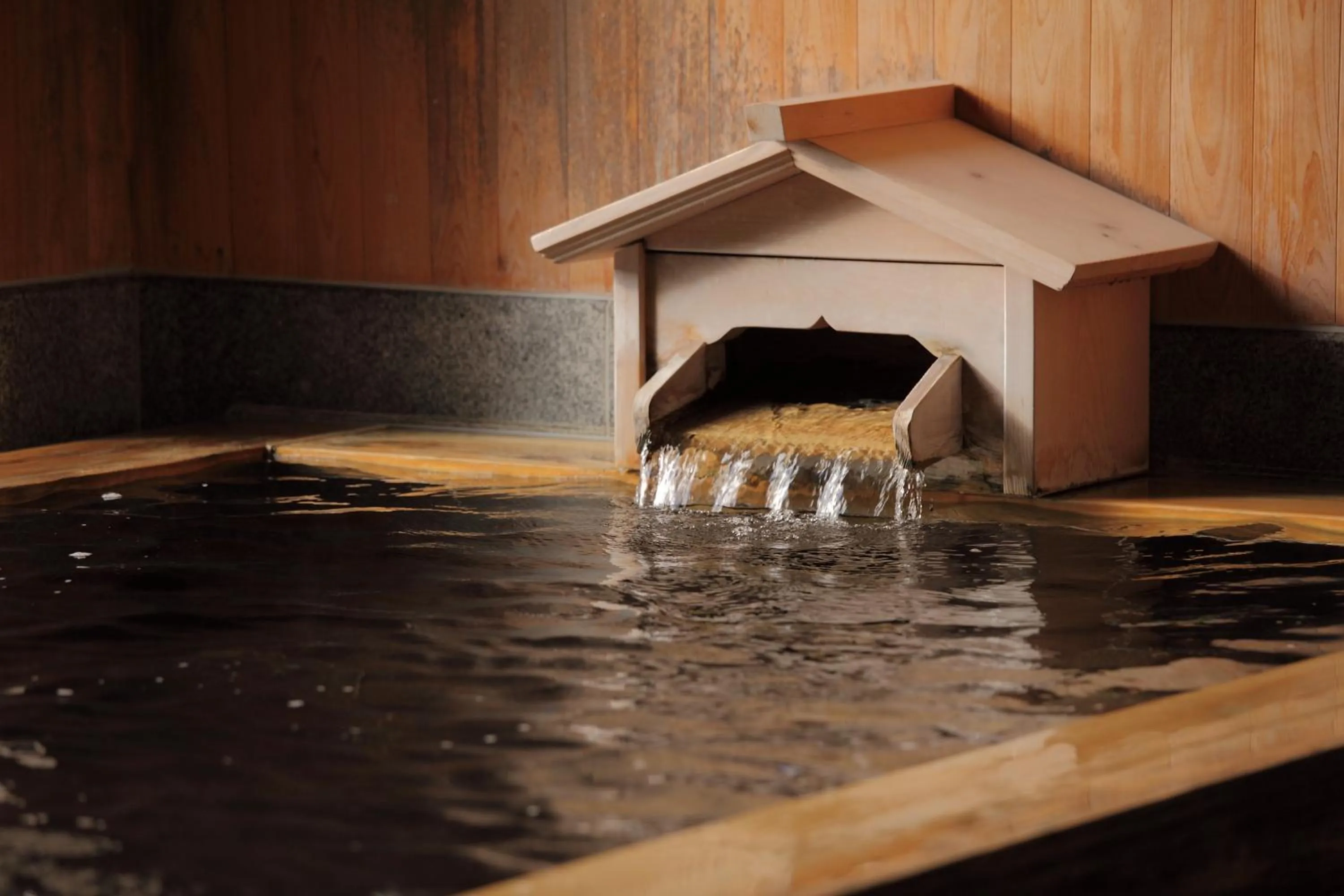 Hot Spring Bath in Senkyo