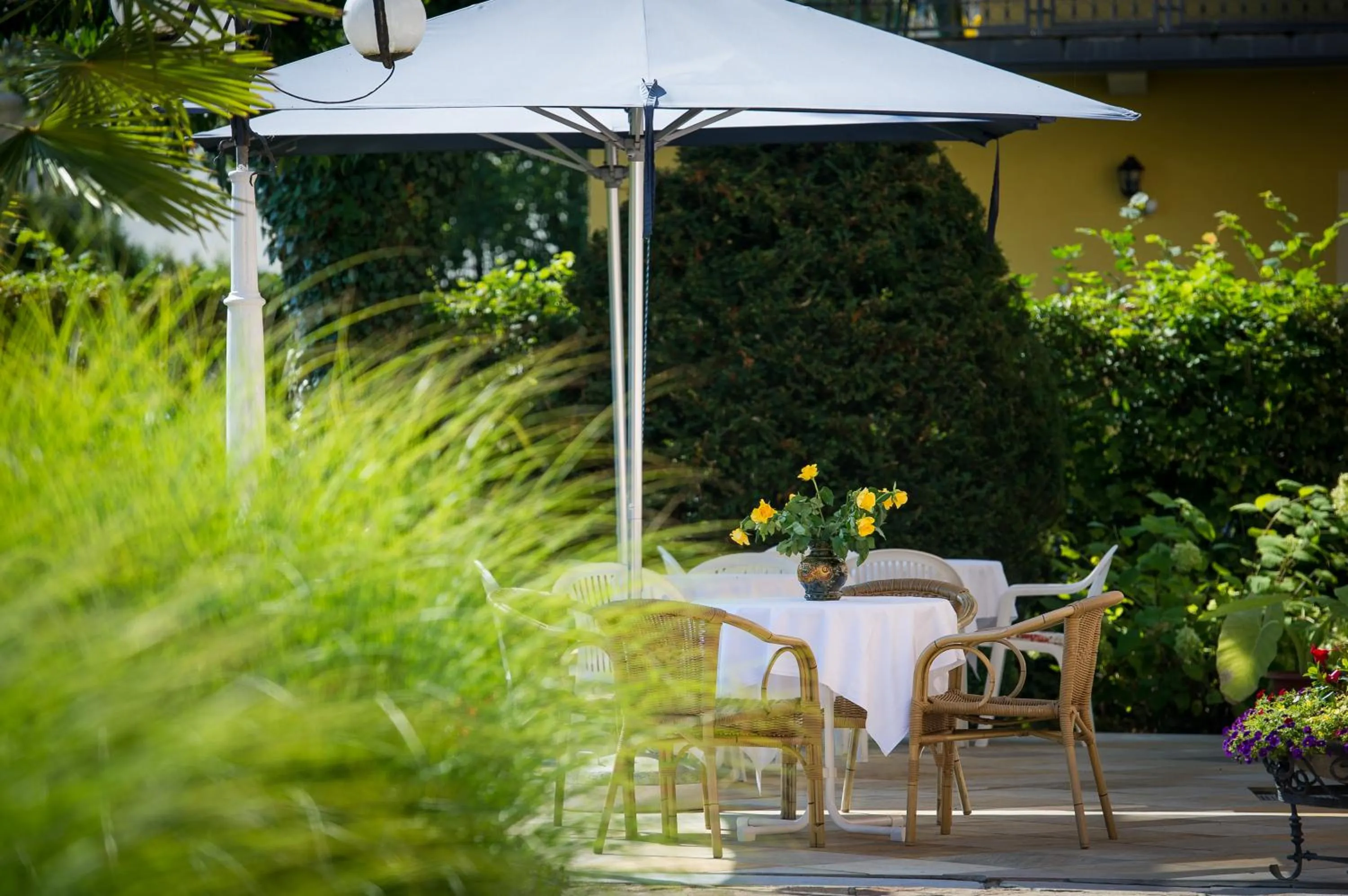 Garden in Villa Auguste