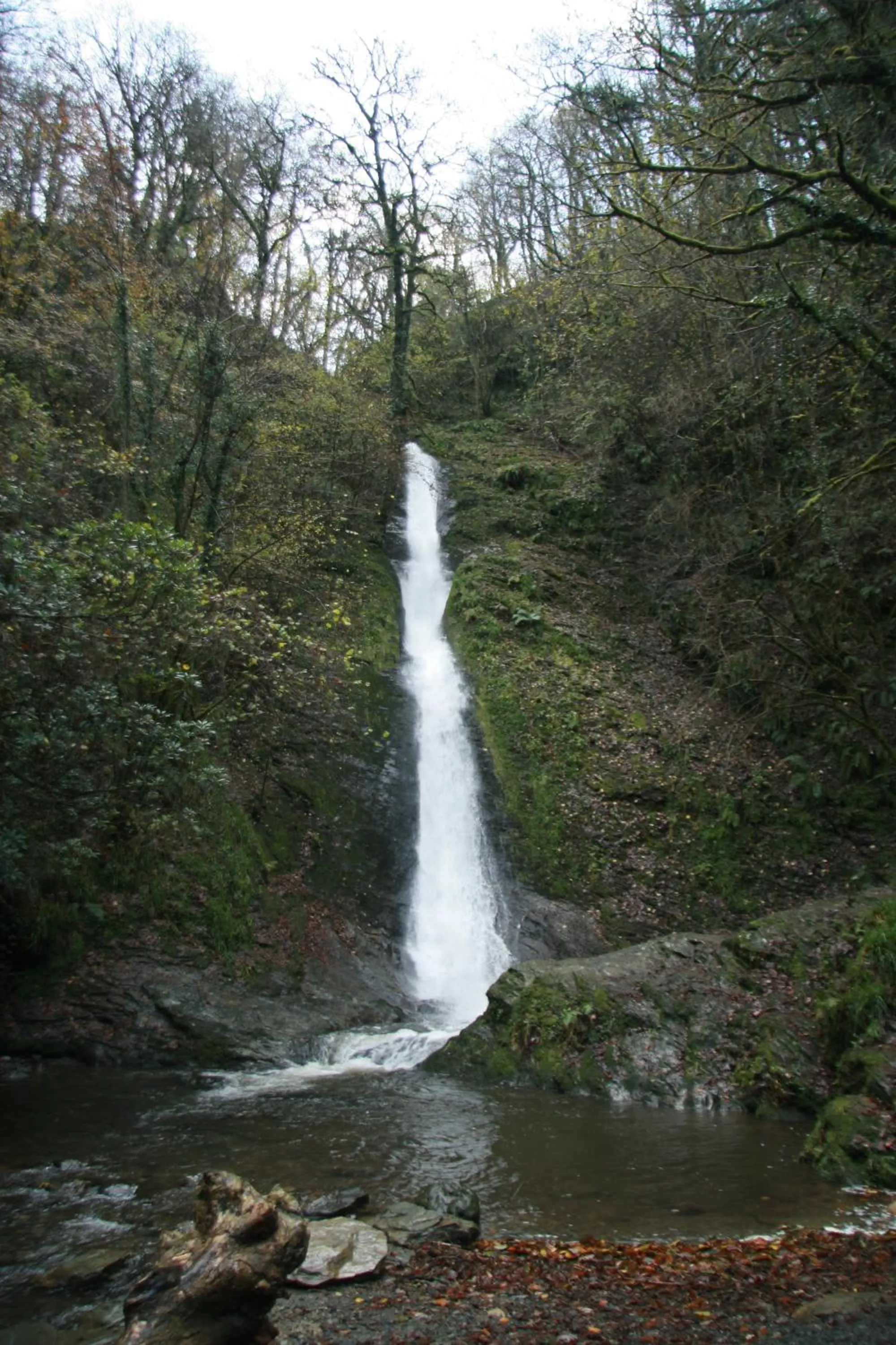 Natural landscape in Lydford House