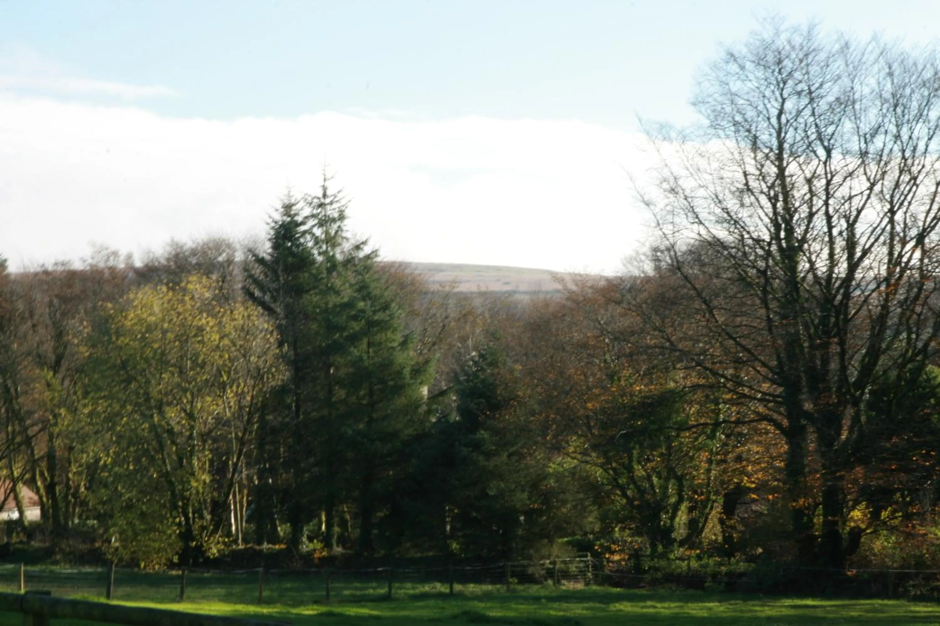 Natural landscape in Lydford House
